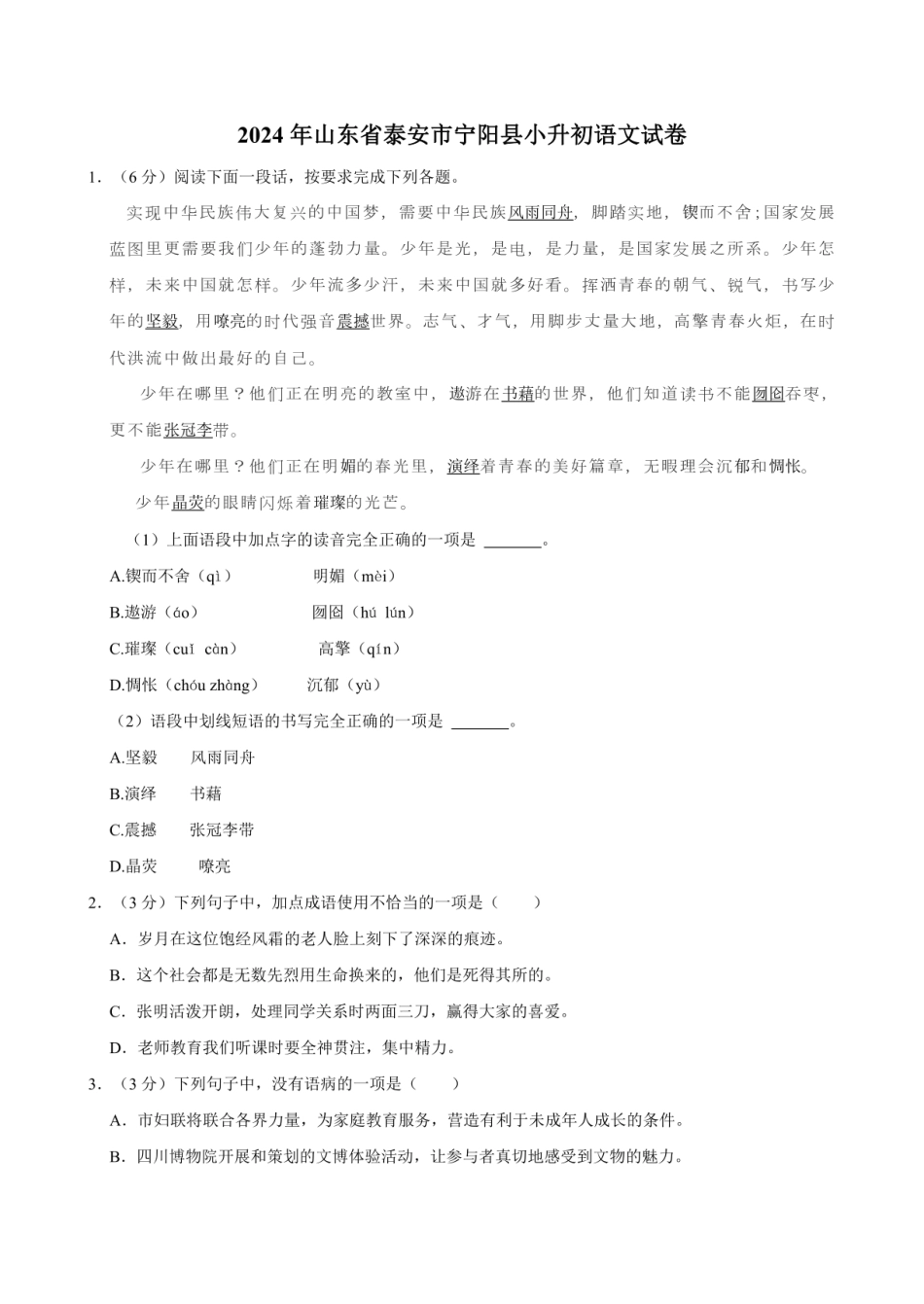 2024年山东省泰安市宁阳县小升初语文试卷（含答案）.pdf