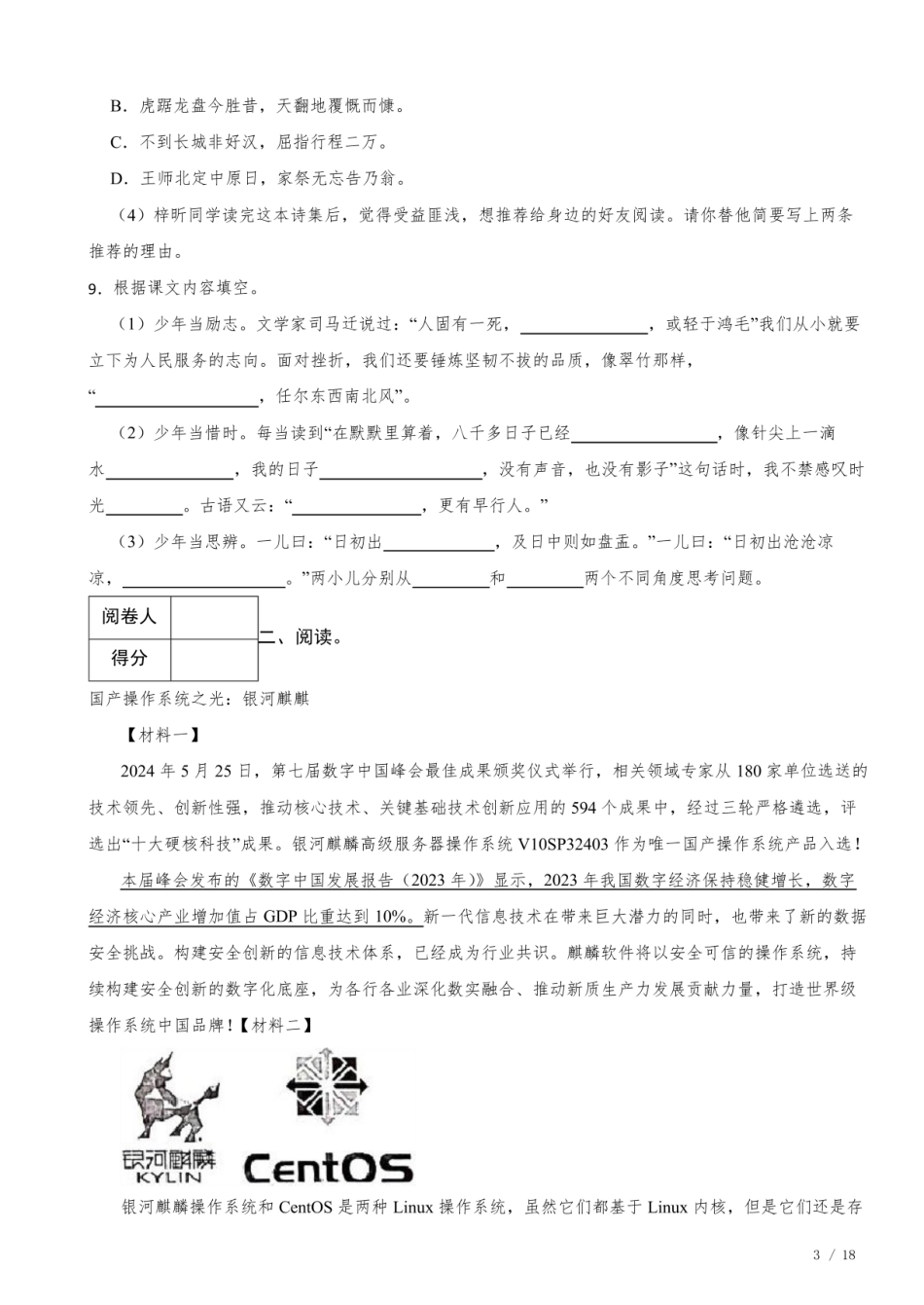 2024年江苏省南京市江宁区小升初语文真题试卷 附解析.pdf