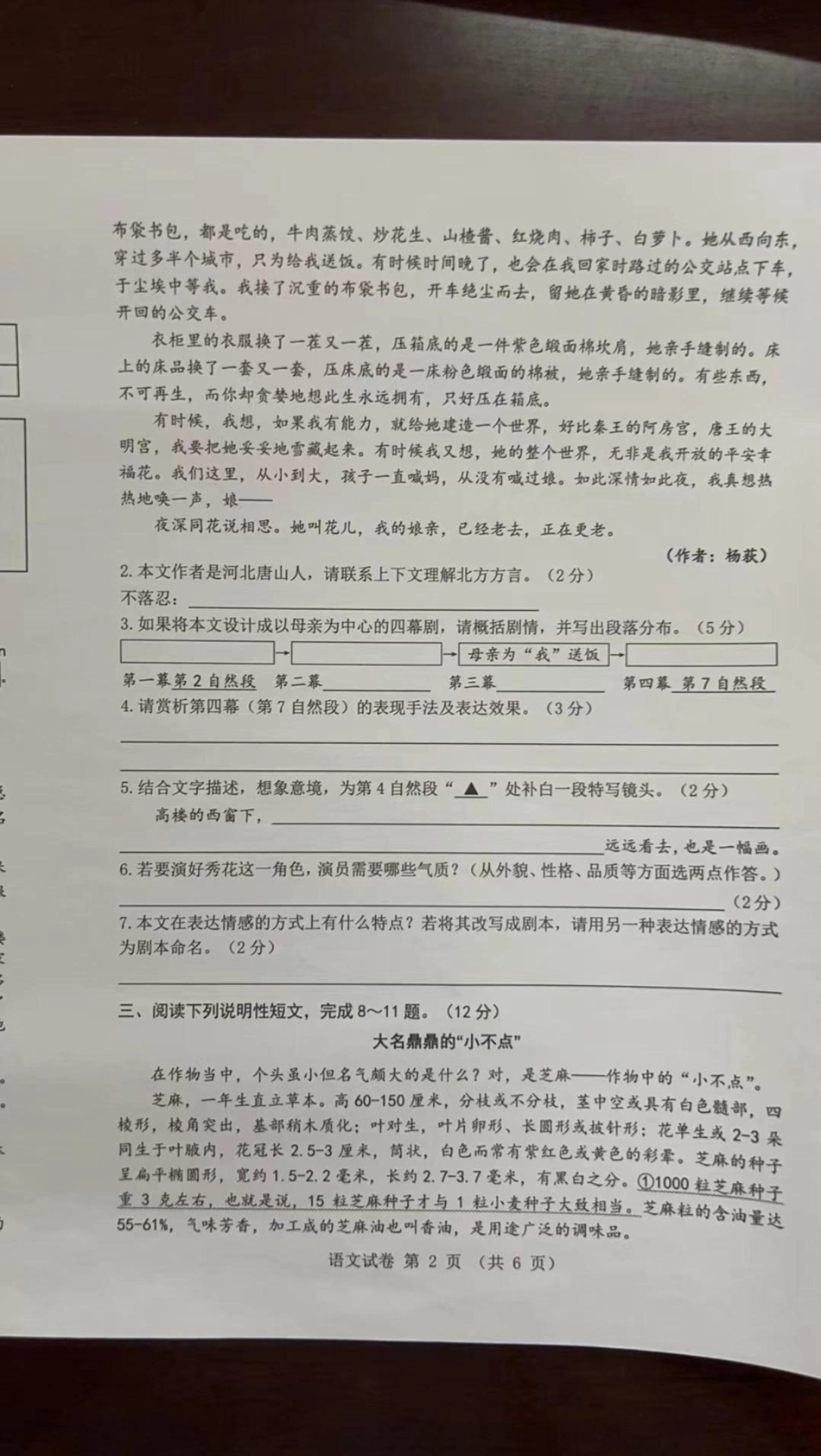 2024年江苏省常州市金坛区六年级下学期期末考试语文试卷.pdf