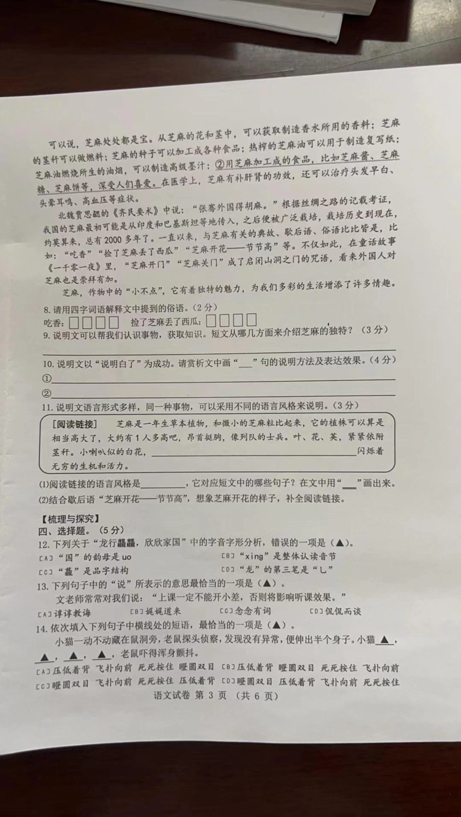 2024年江苏省常州市金坛区六年级下学期期末考试语文试卷.pdf