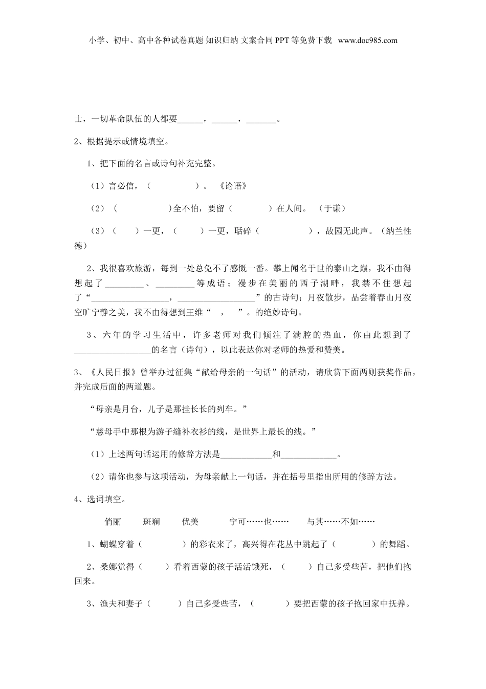 2019年上海小升初语文D卷真题及答案.doc