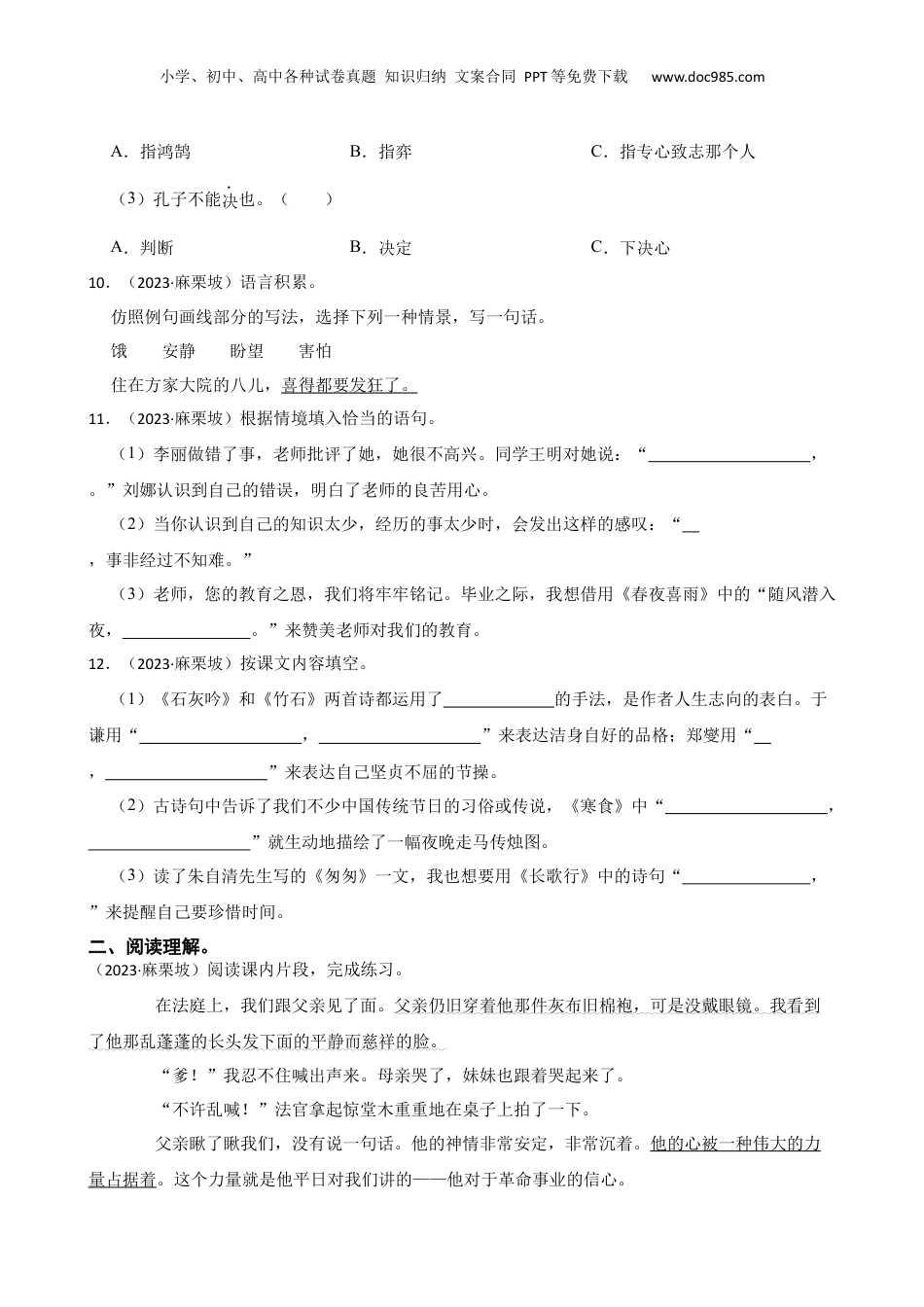 云南省文山州麻栗坡县2023年小升初语文试卷(学生版).docx