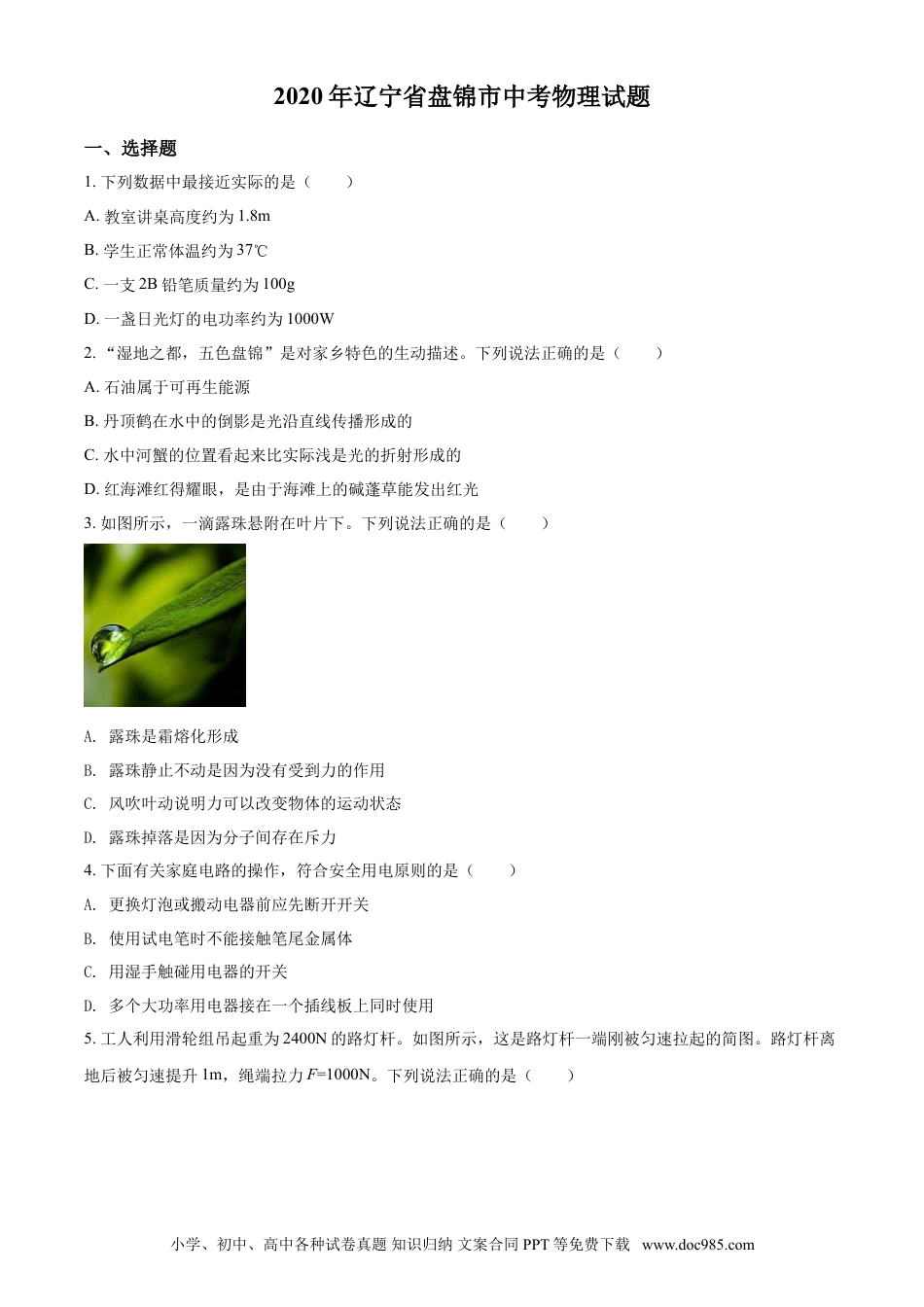 2020年辽宁省盘锦市中考物理试题（空白卷）.doc