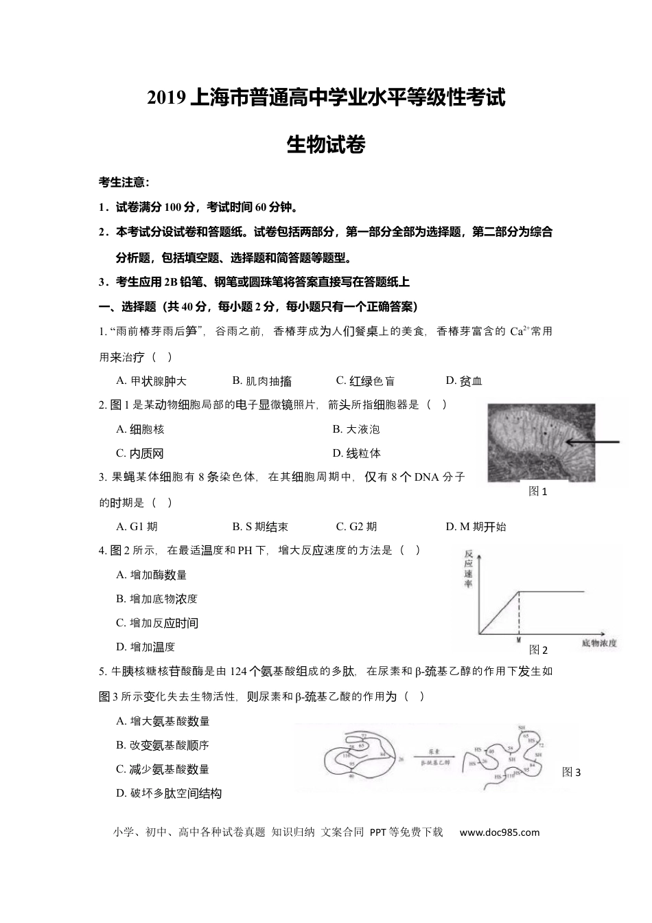 2019年上海高考生物真题及答案.docx