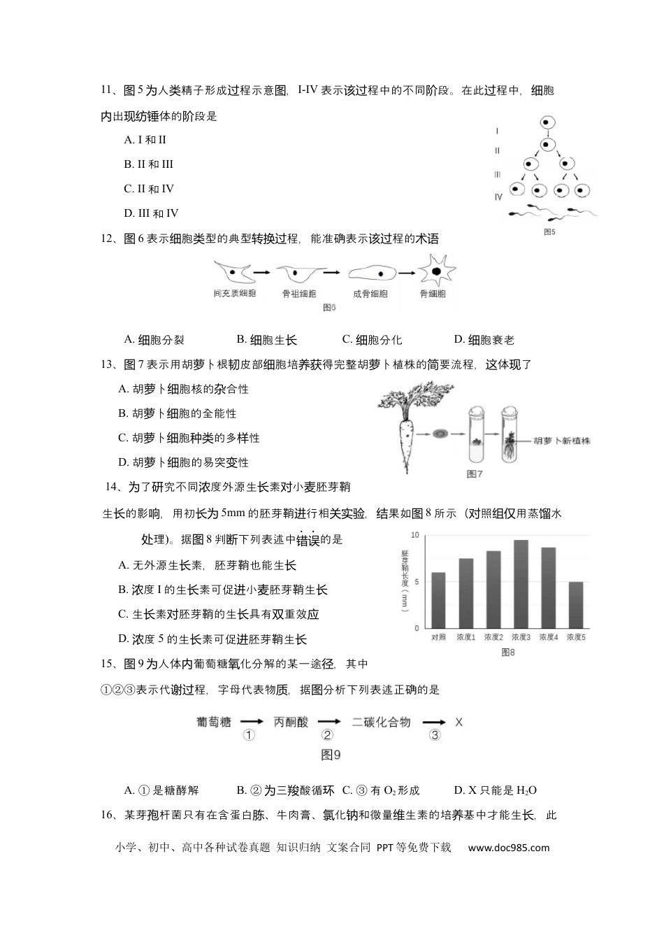 2017年上海高考生物真题及答案.docx