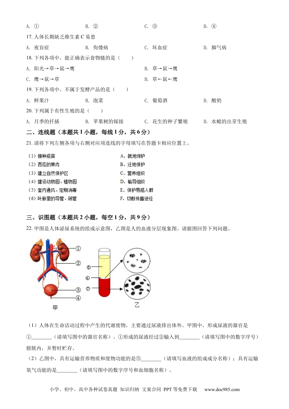 辽宁省沈阳市2022年生物中考真题（原卷版）.docx