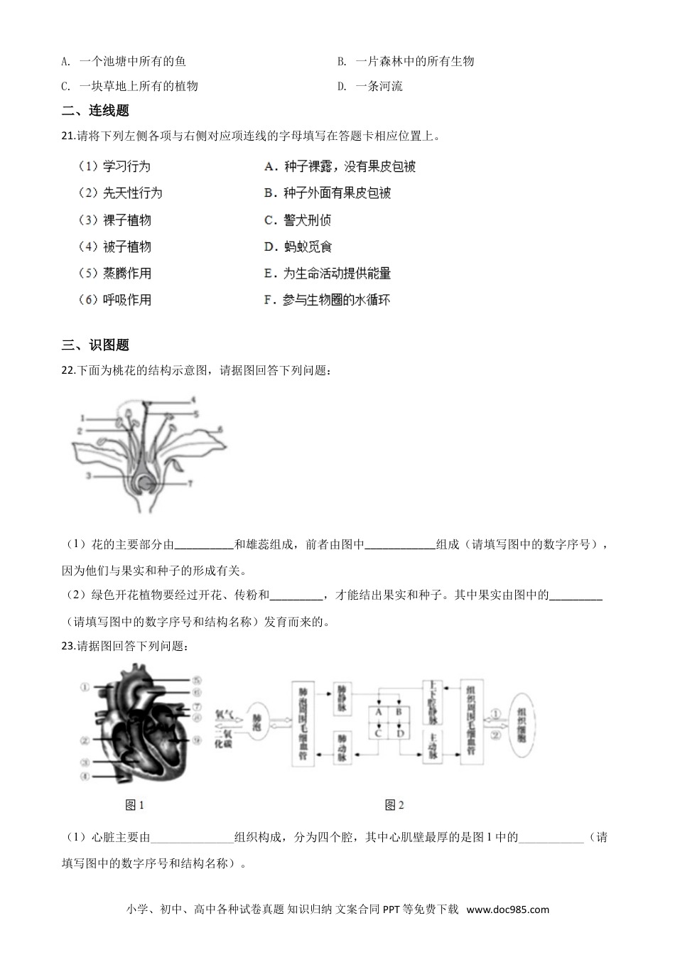 辽宁省沈阳市2020年中考生物试题（原卷版）.doc
