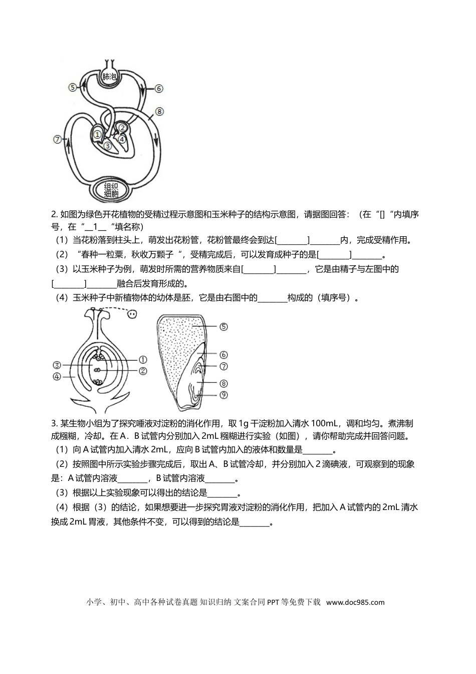 2006年江苏省徐州市中考生物试题及解析.doc