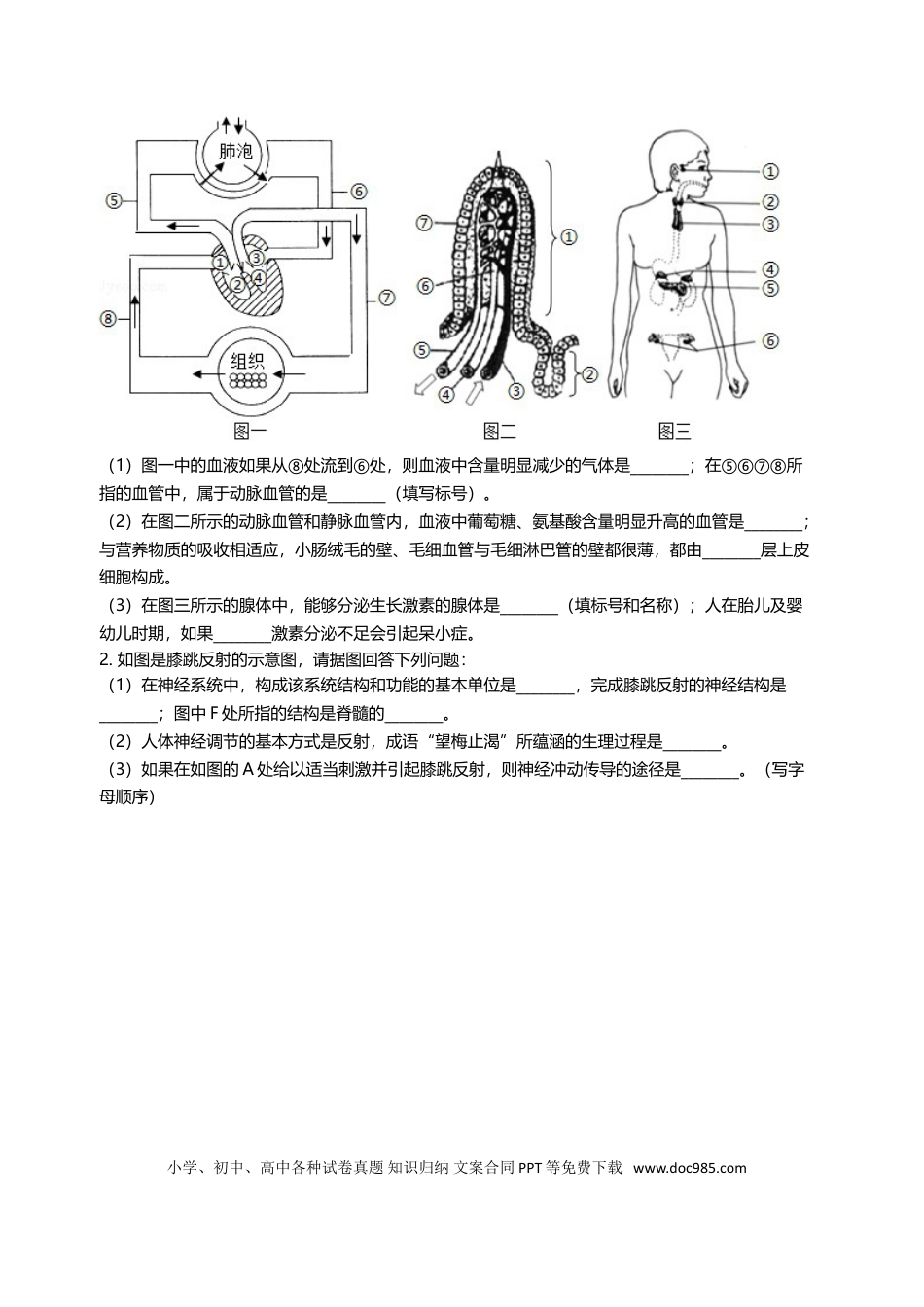 2005年江苏省徐州市中考生物试题及解析.doc