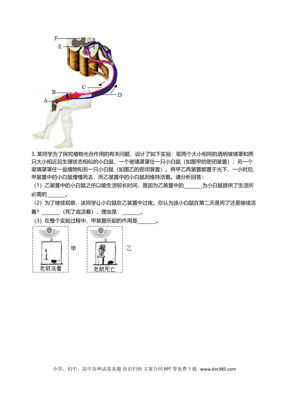 2005年江苏省徐州市中考生物试题及解析.doc
