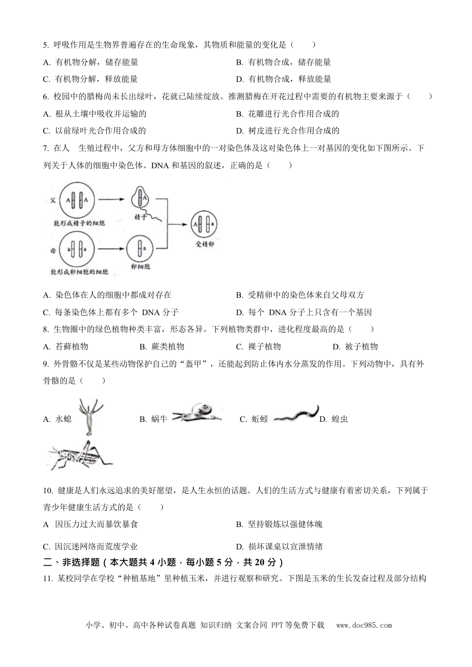 2023年安徽省中考生物真题（空白卷）.docx