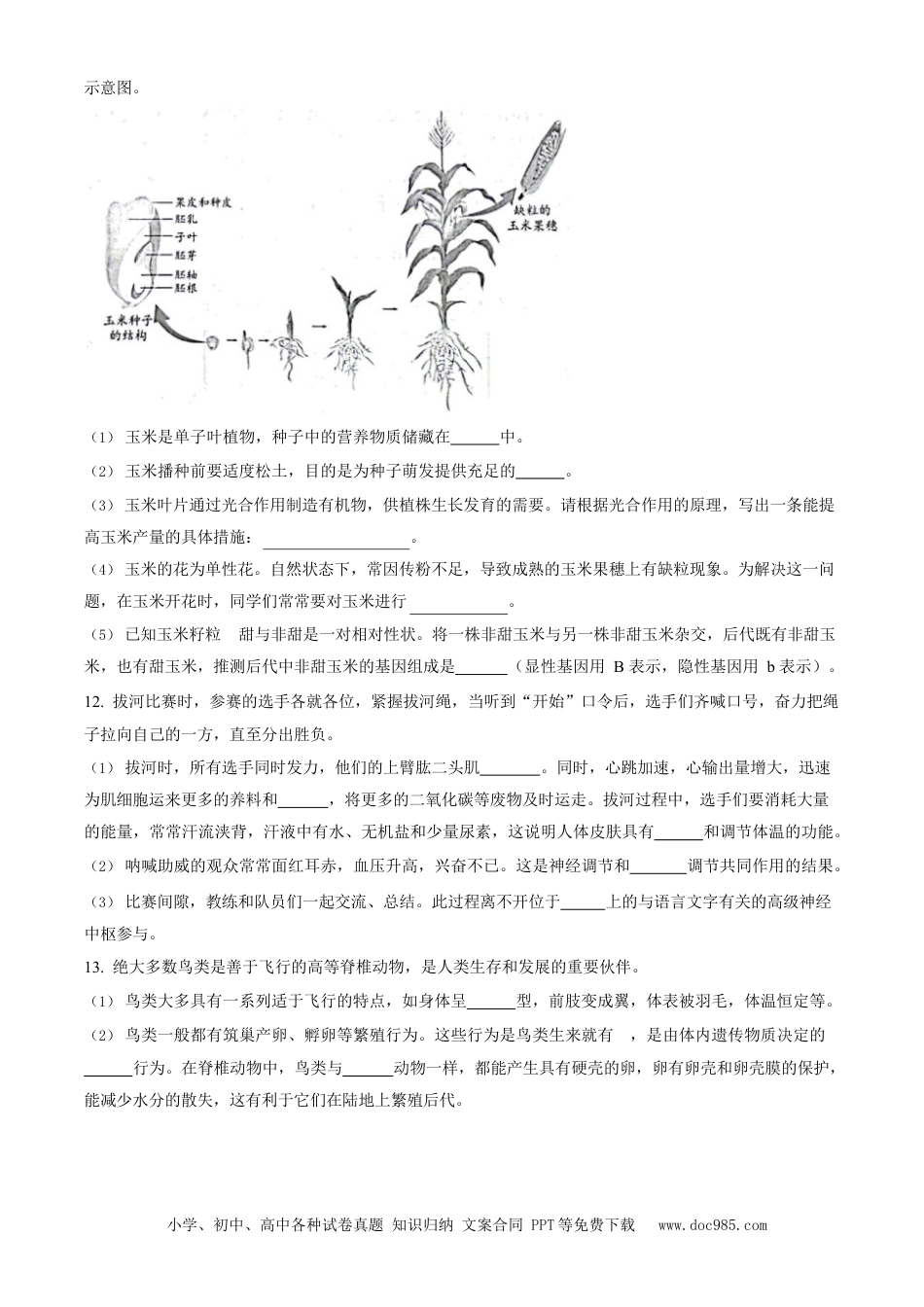 2023年安徽省中考生物真题（空白卷）.docx