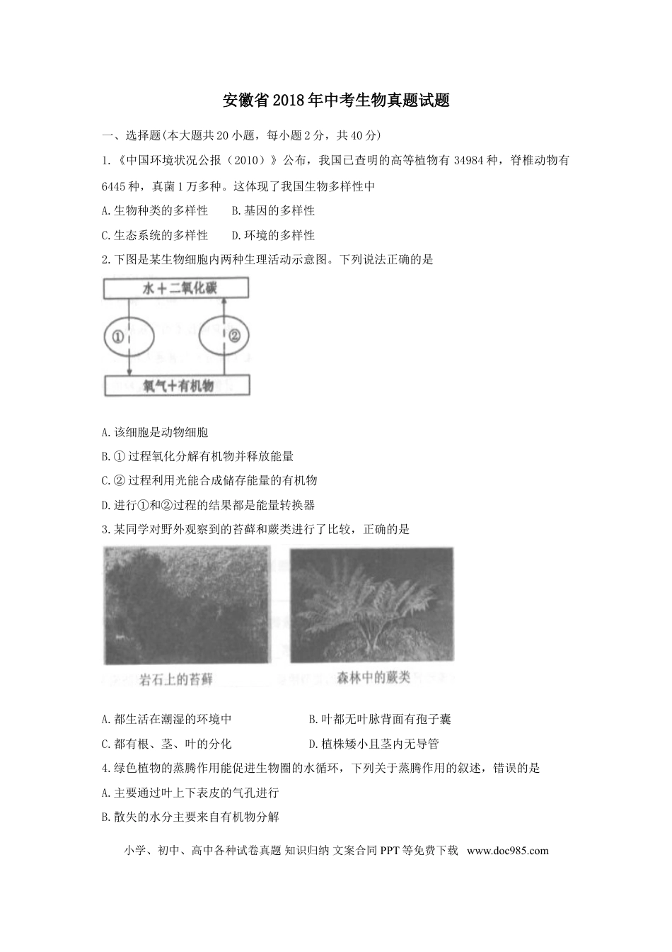 2018年安徽省中考生物真题（空白卷）.doc