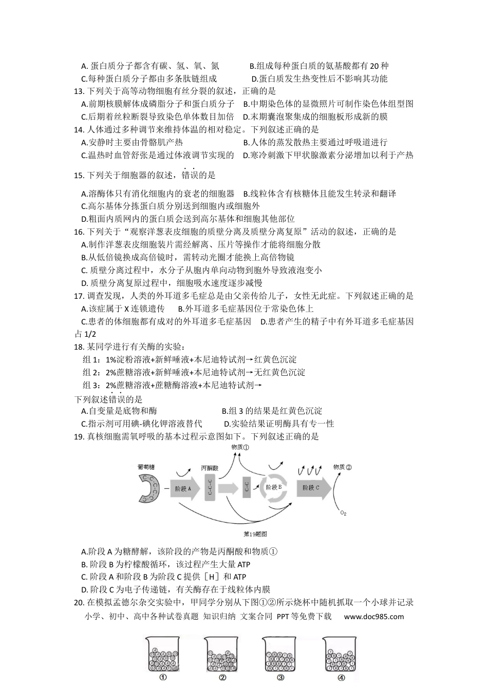 【免费下载】2016年浙江高考生物【10月】（原卷版）.docx