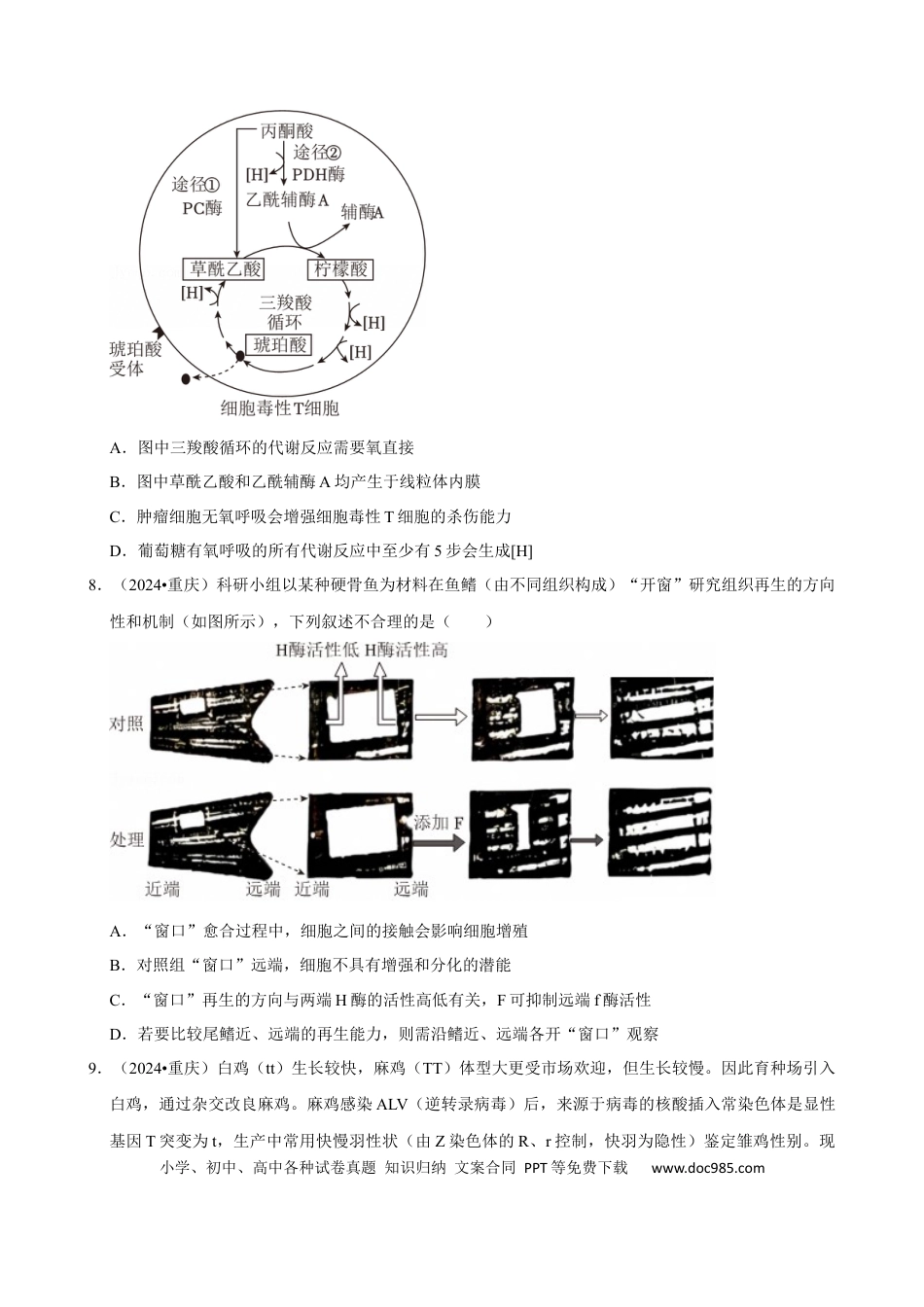 2024年高考生物真题（重庆自主命题）（原卷版）.docx