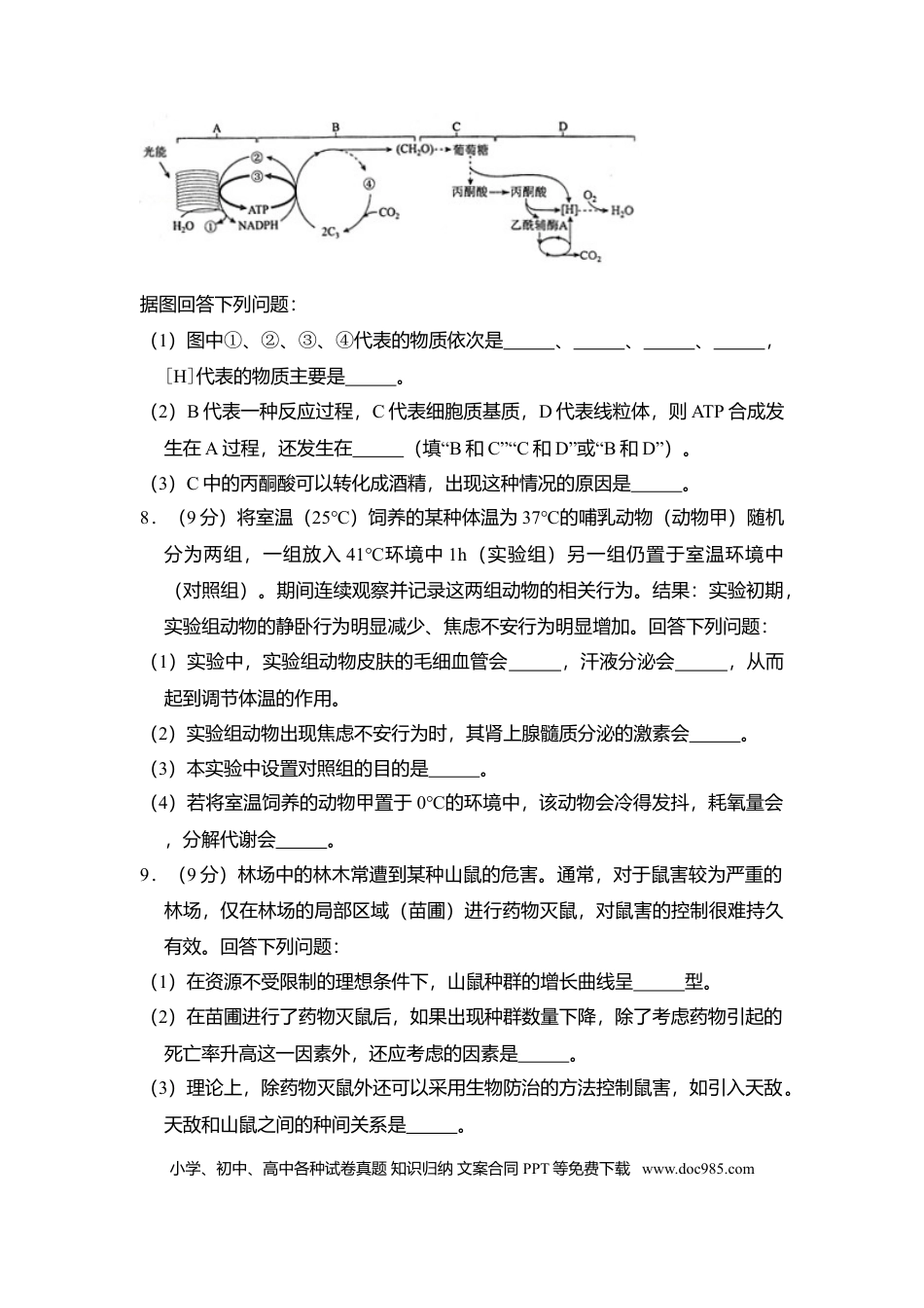 2017年全国统一高考生物试卷（新课标Ⅱ）（解析版）.doc