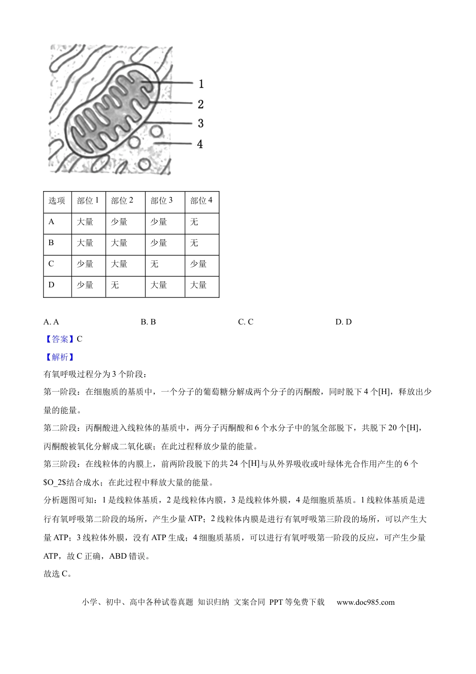2025年高考生物真题（北京自主命题）（解析版）.docx