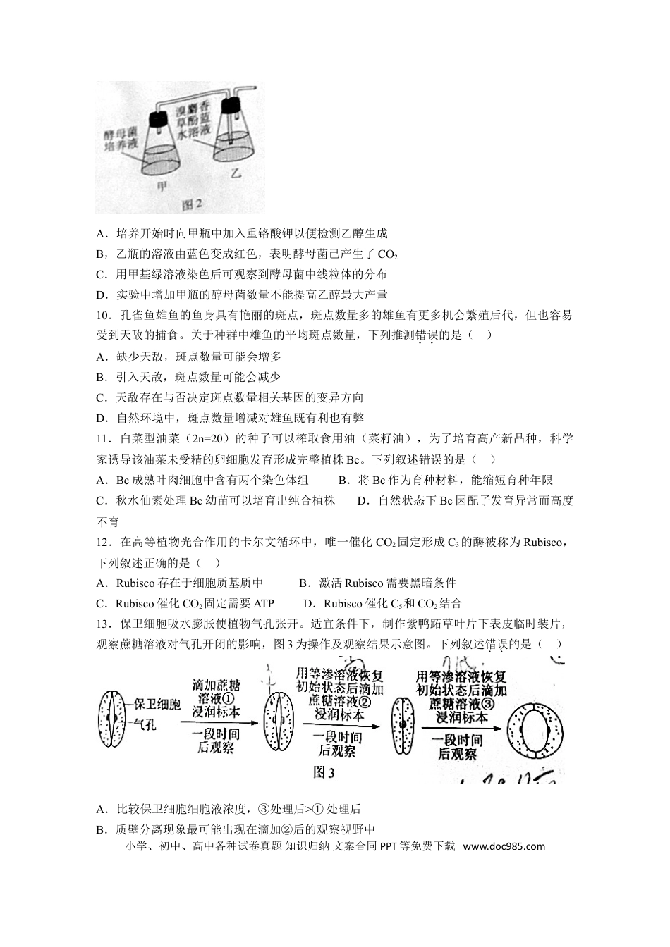 2021年高考生物真题（广东自主命题）（原卷版）.doc
