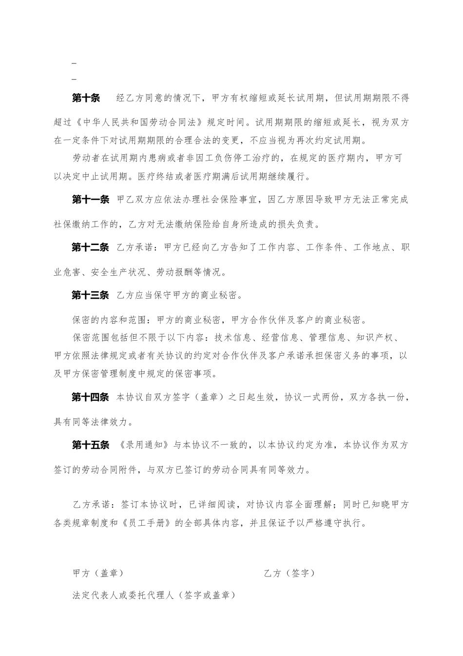 10.试用期补充协议.docx