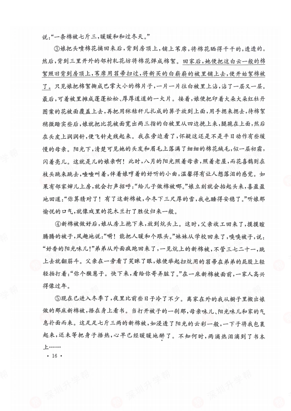 【初一语文分班考】语文-2023年深圳市百合外国语学校初一入学分班卷.pdf