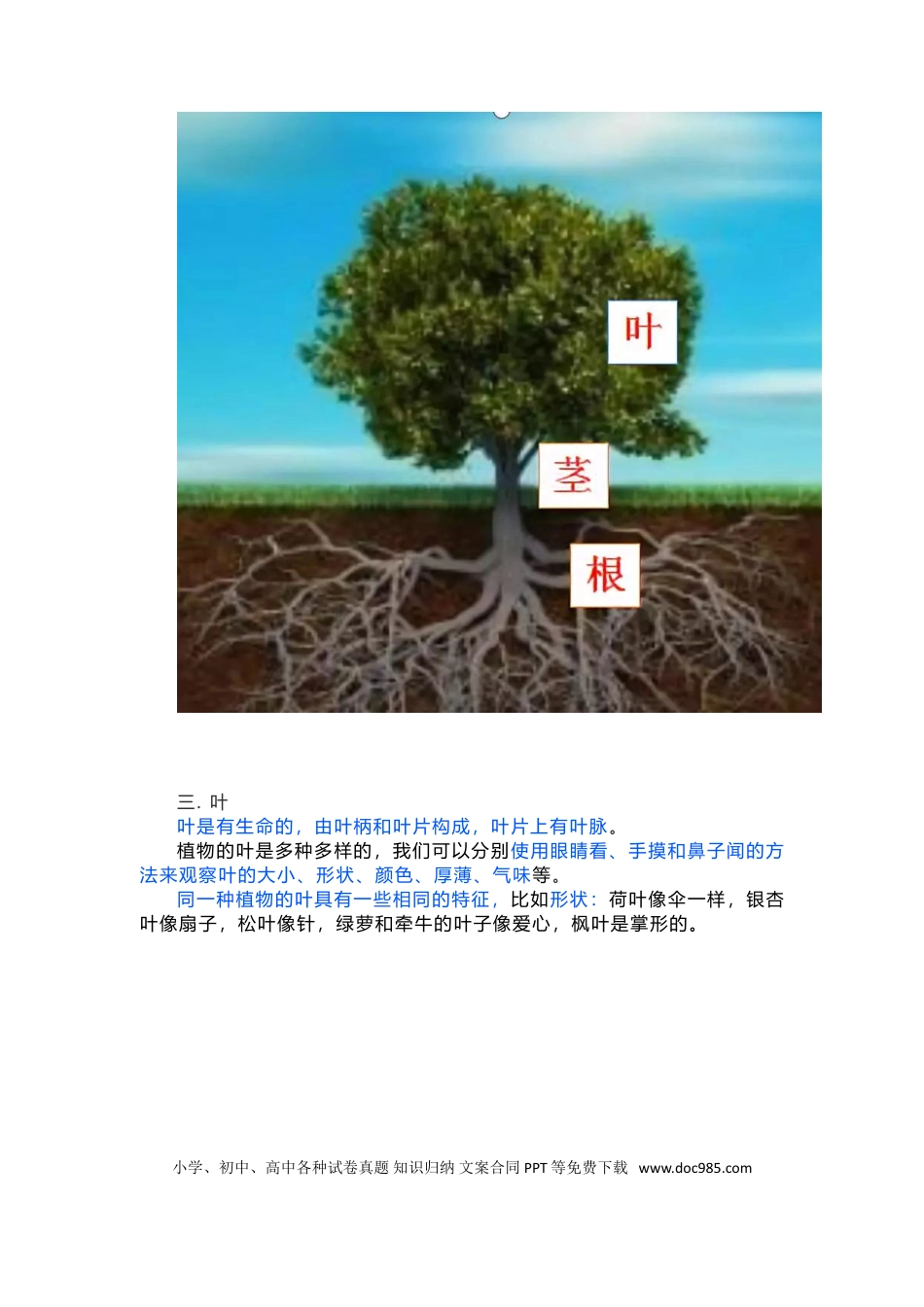 教科版科学一年级上册期末复习知识点总结.doc