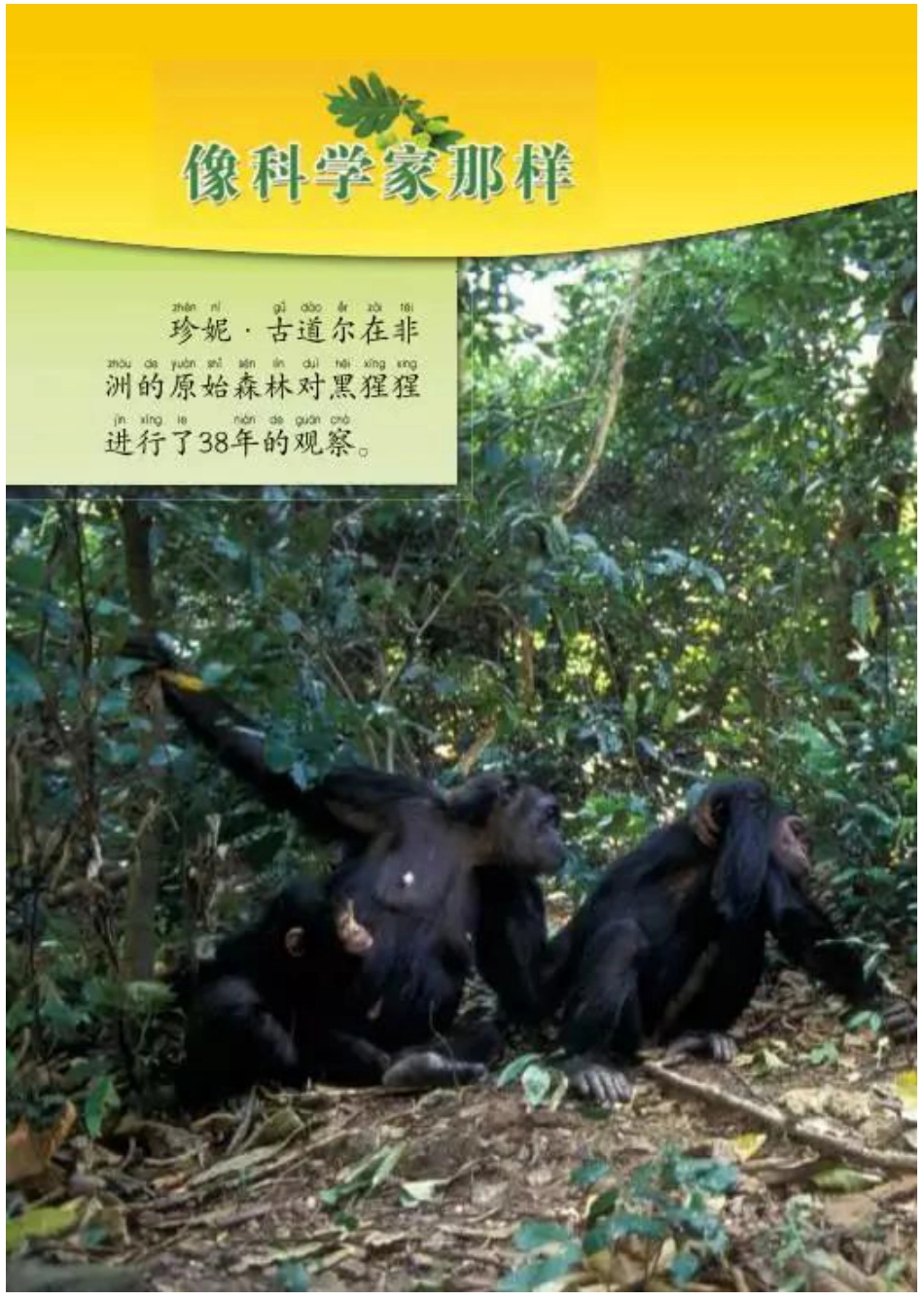 教科版小学科学一年级上册电子课本.pdf