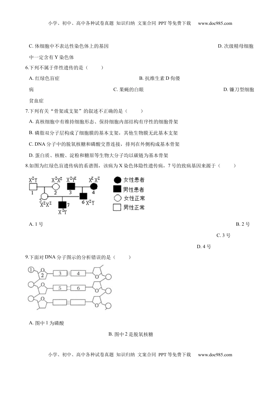 2022-2023学年高一生物下学期期中测试卷01（人教版2023选择性必修2）（原卷版）.docx
