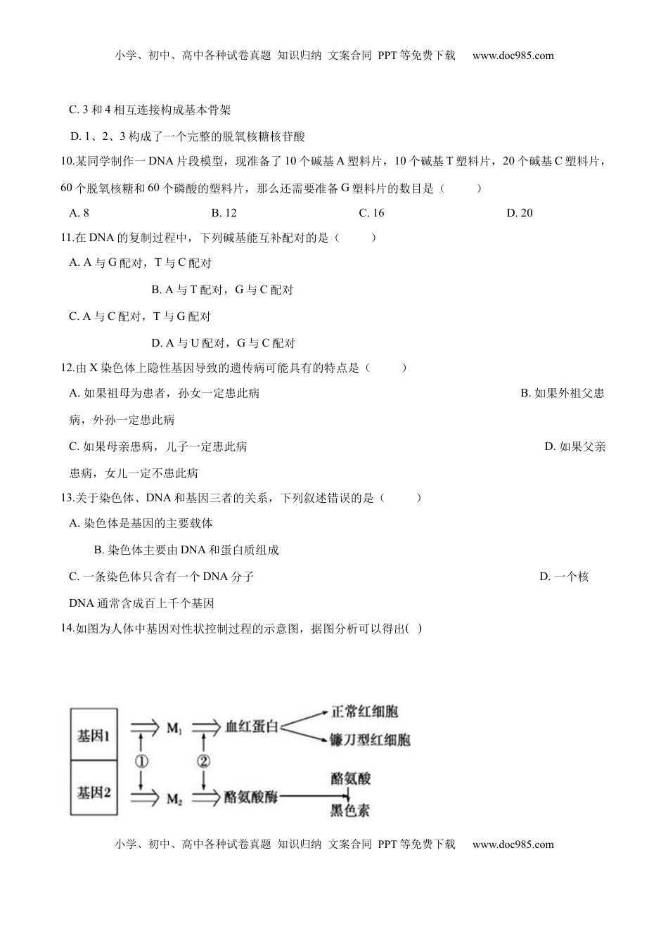 2022-2023学年高一生物下学期期中测试卷01（人教版2023选择性必修2）（原卷版）.docx