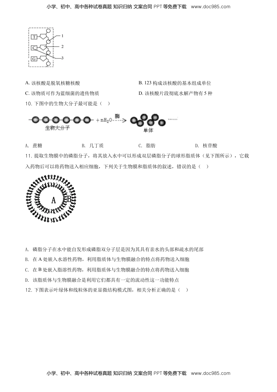 精品解析：辽宁省大连市高一上学期期末生物学试题（原卷版）.doc