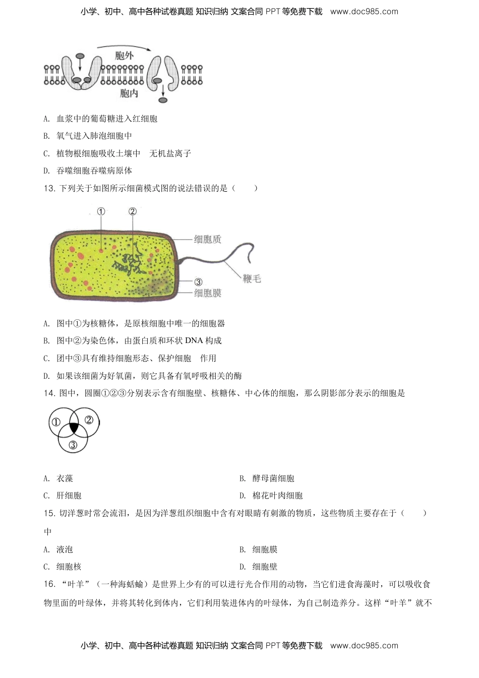 精品解析：江苏省南京市南京师大附中高一上学期期末生物试题（原卷版）.doc