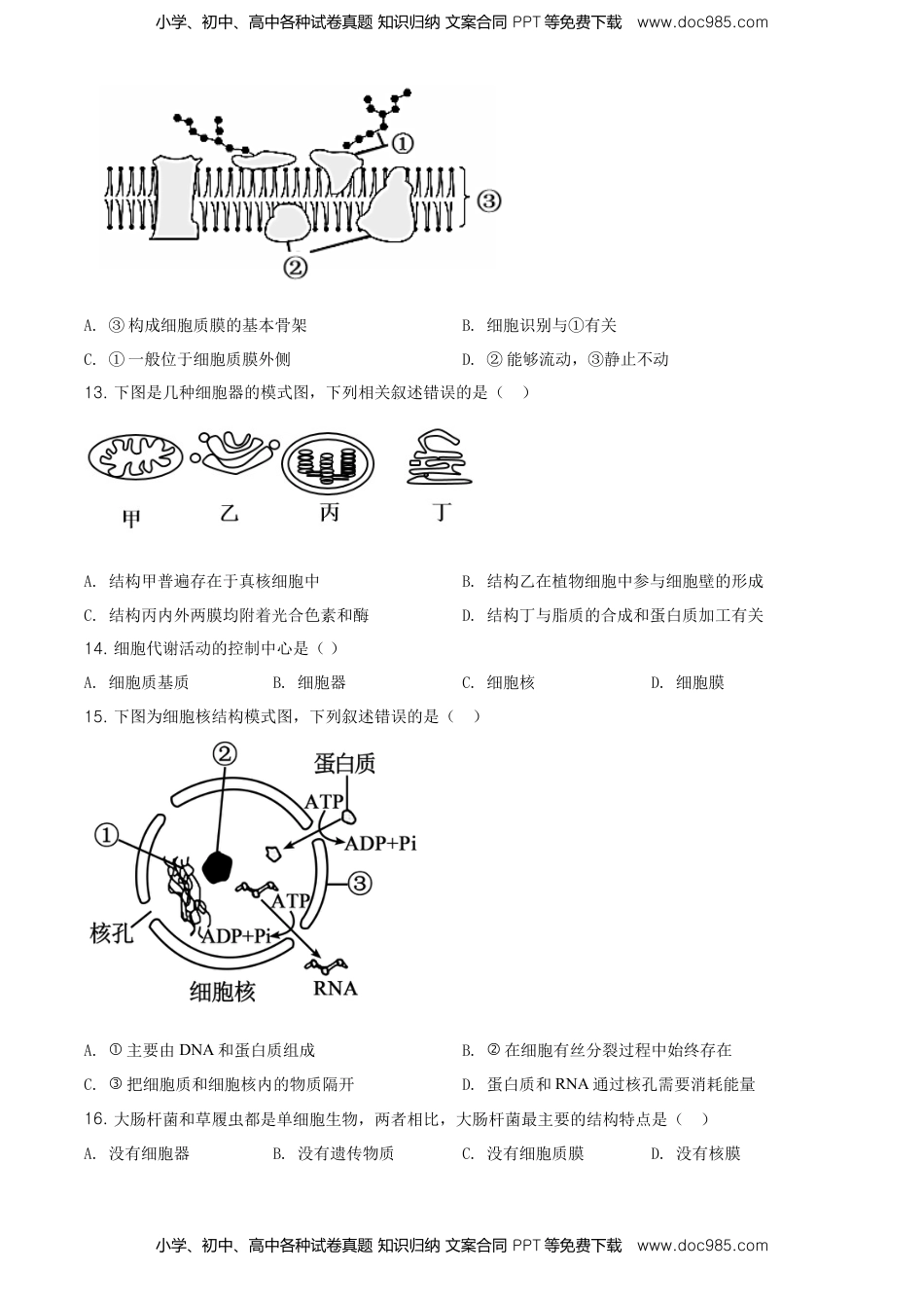 精品解析：江苏省南京市高一上学期期末学情调研生物试题（原卷版）.doc