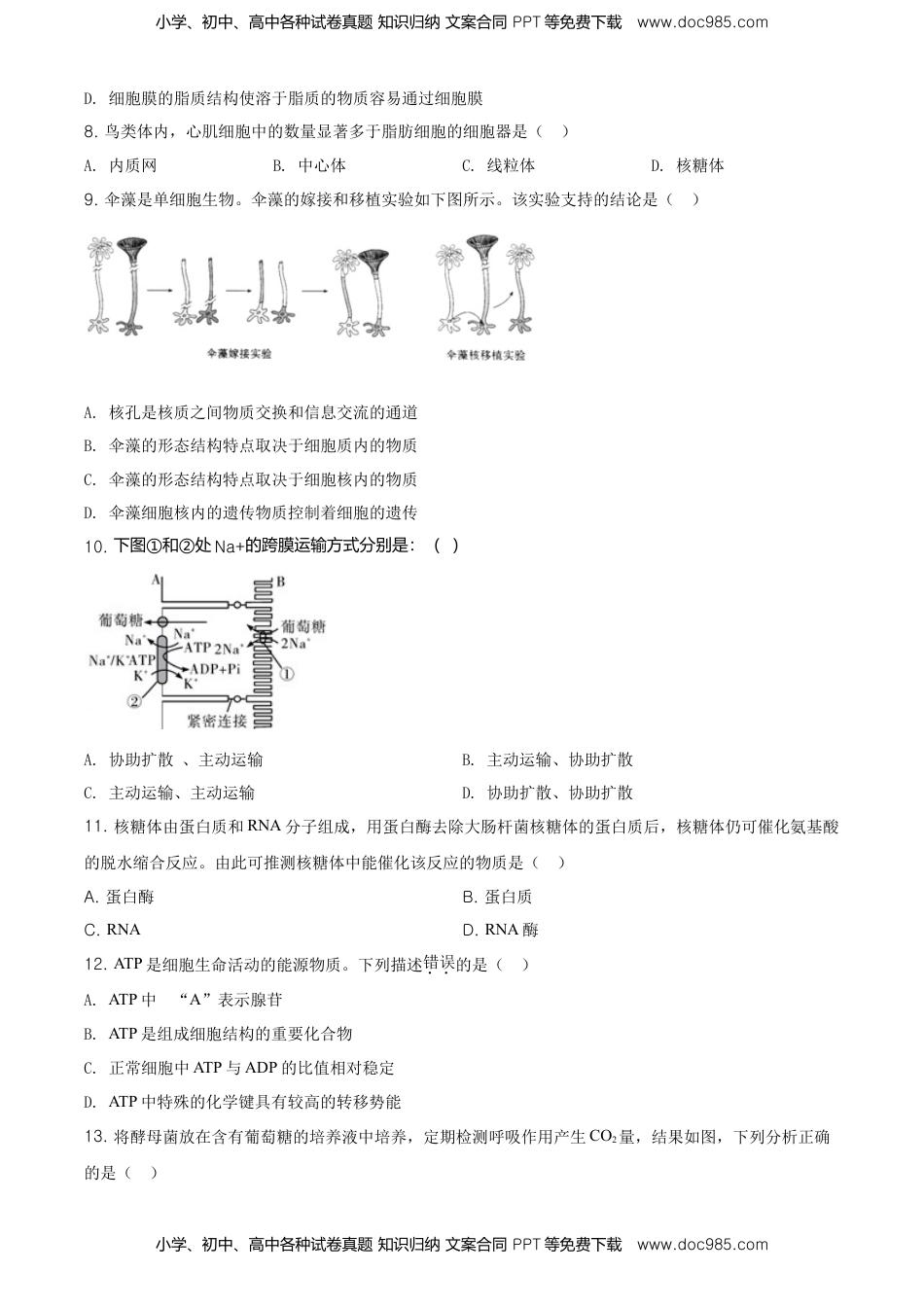精品解析：北京市平谷区高一上学期期末生物试题（原卷版）.doc