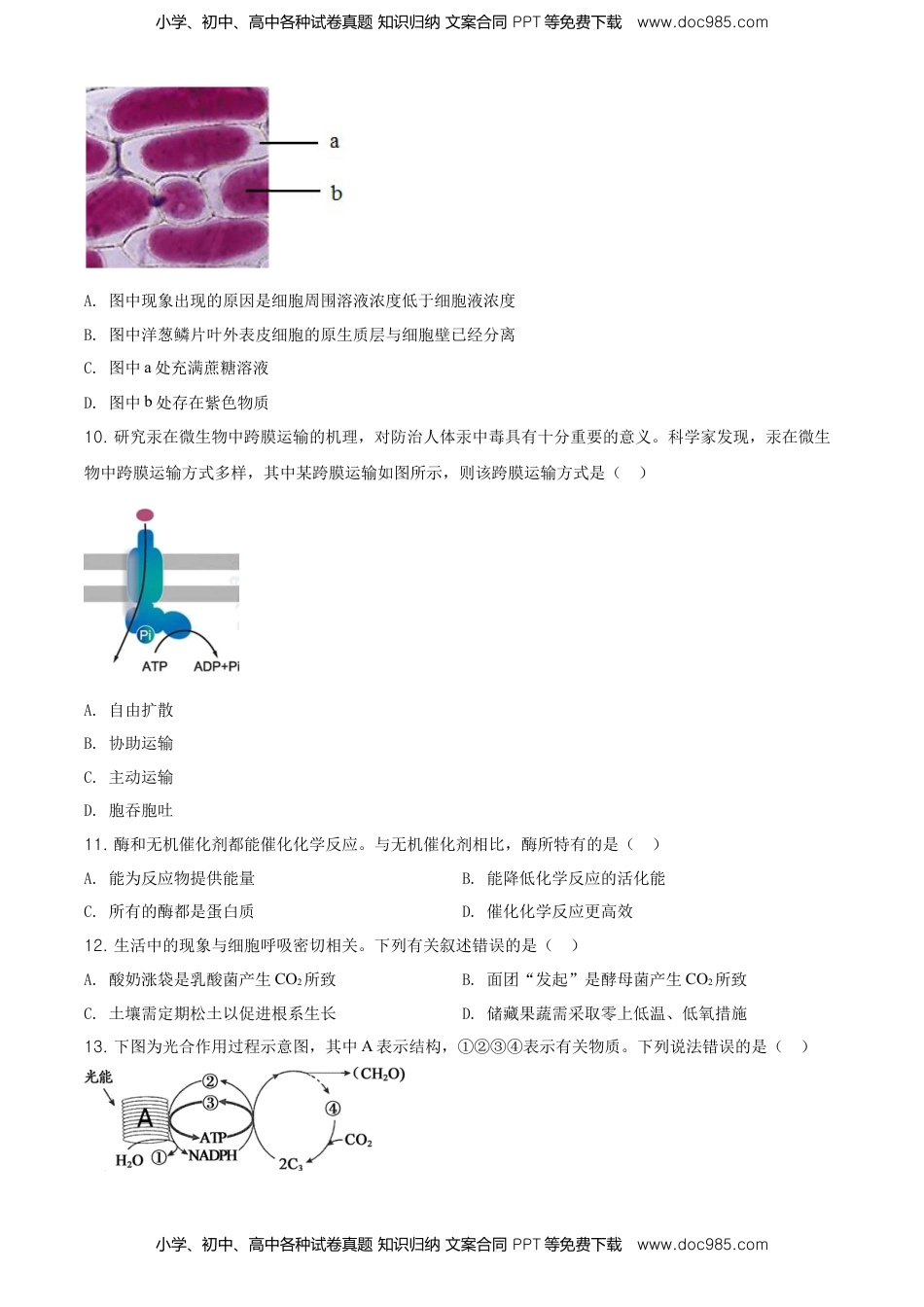 精品解析：北京市朝阳区高一上学期期末质量检测生物试题（原卷版）.doc