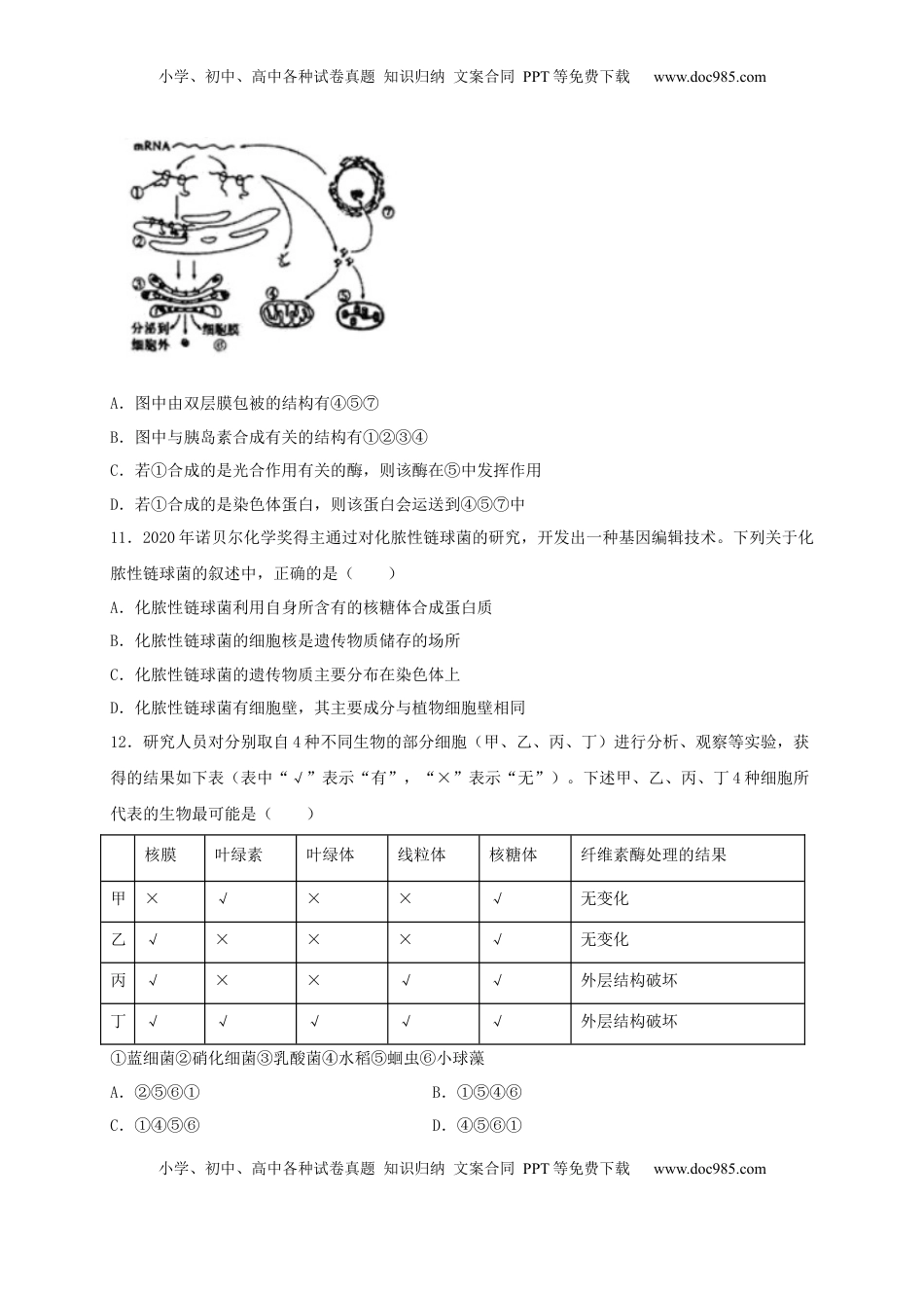 高一生物上学期期末测试卷03（人教版必修1）（原卷版）.docx