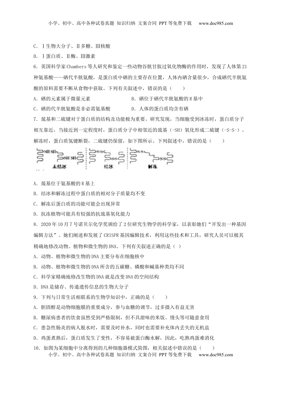 高一生物上学期期末测试卷02（人教版必修1）（原卷版）.docx