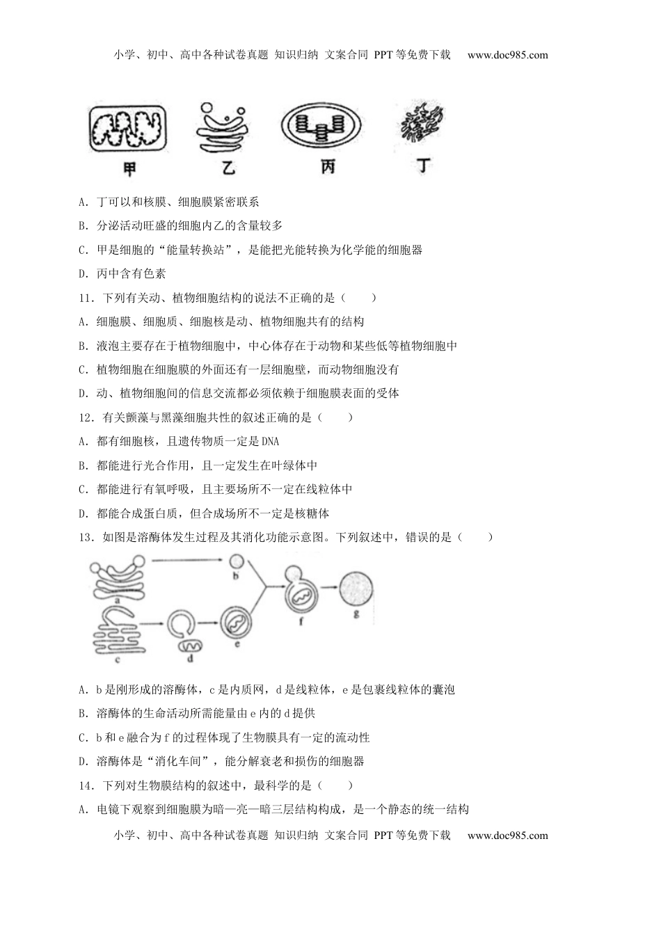 高一生物上学期期末测试卷02（人教版必修1）（原卷版）.docx
