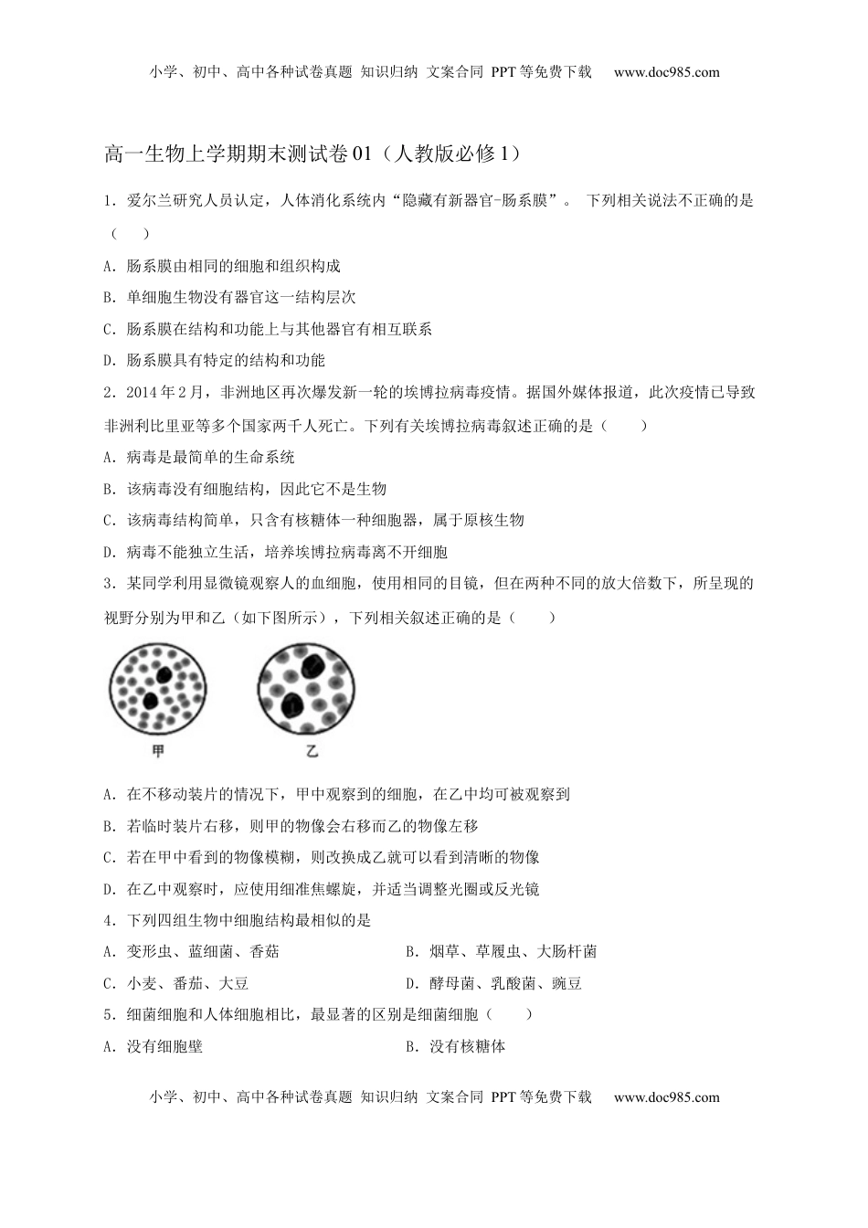 高一生物上学期期末测试卷01（人教版必修1）（原卷版）.docx