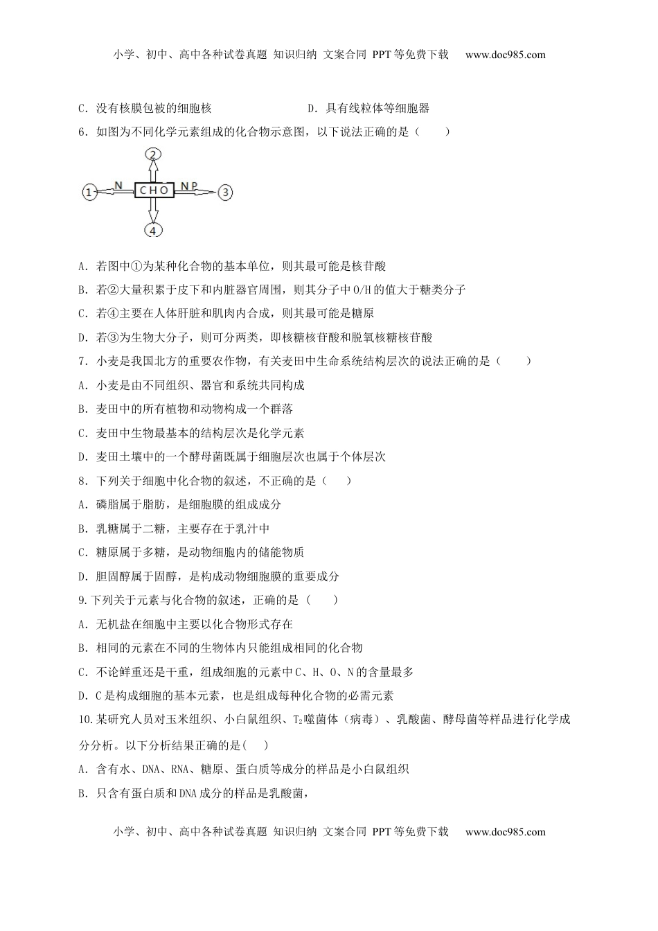 高一生物上学期期末测试卷01（人教版必修1）（原卷版）.docx