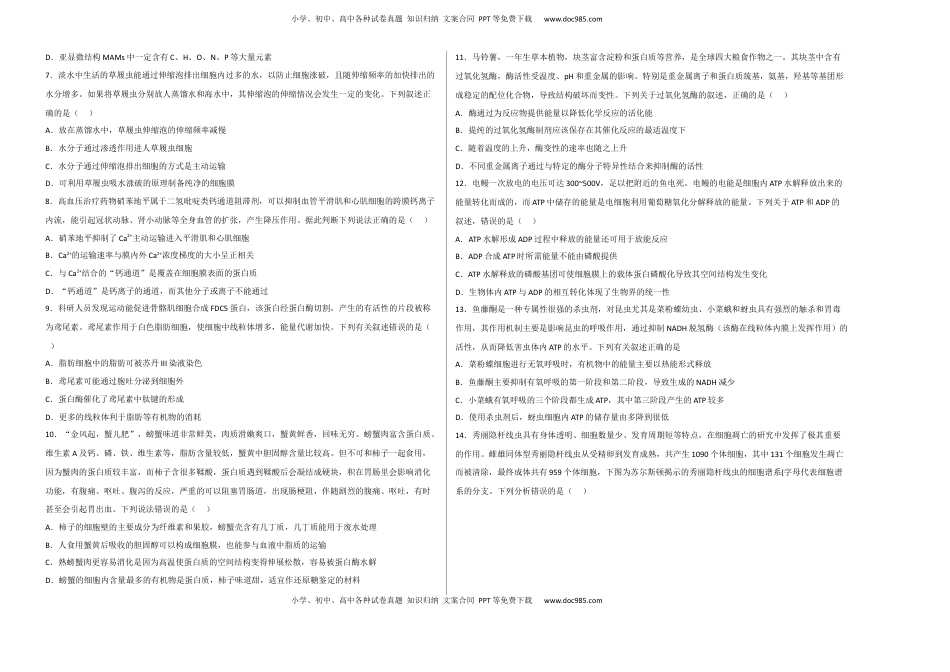 2022-2023学年高一生物上学期期末考前必刷卷01（人教版2019）（考试版）.docx