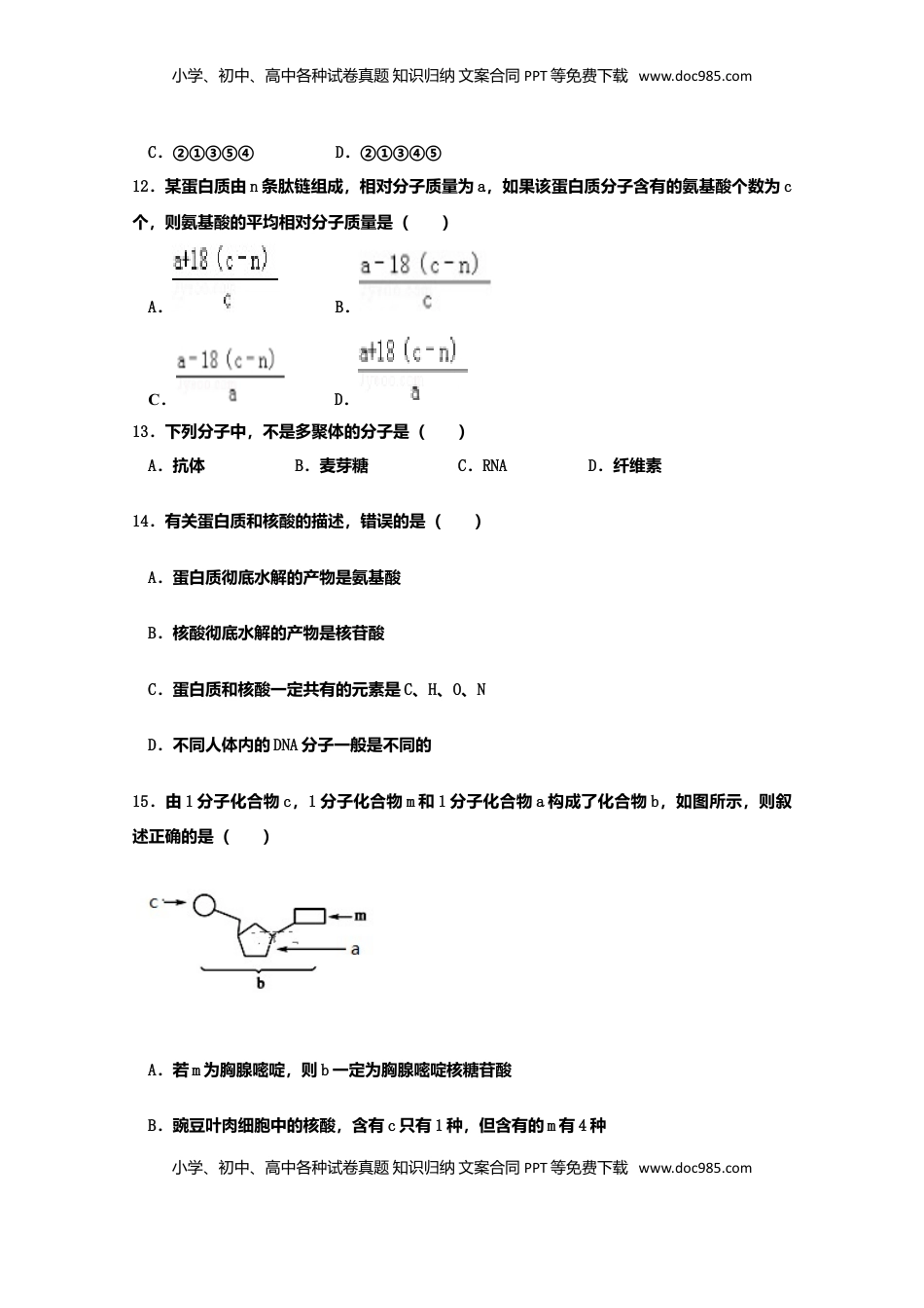 山东省新泰市第二中学高一上学期期中考试生物试题.doc
