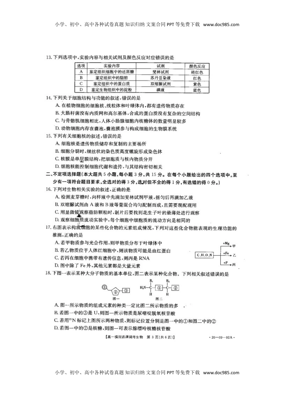 山东省济南市历城第二中学高一上学期模拟选课调考（期中）生物试题 PDF版.doc