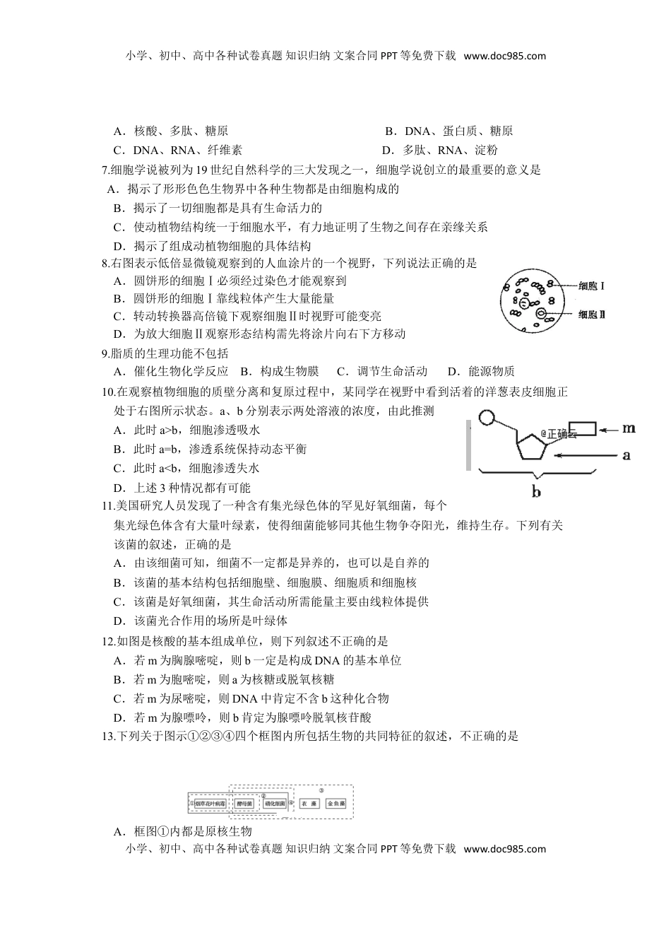 辽宁省实验中学高一上学期期中考试生物试卷.doc