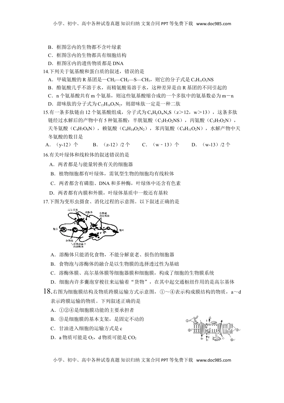 辽宁省实验中学高一上学期期中考试生物试卷.doc