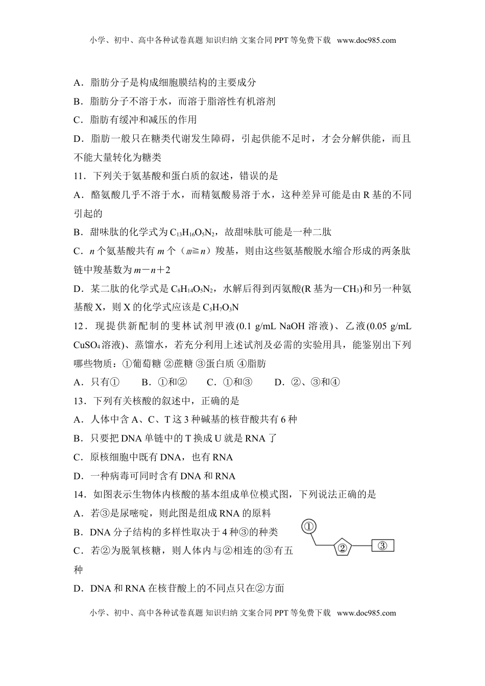 海南省海南中学高一上学期期中考试 生物试题.doc