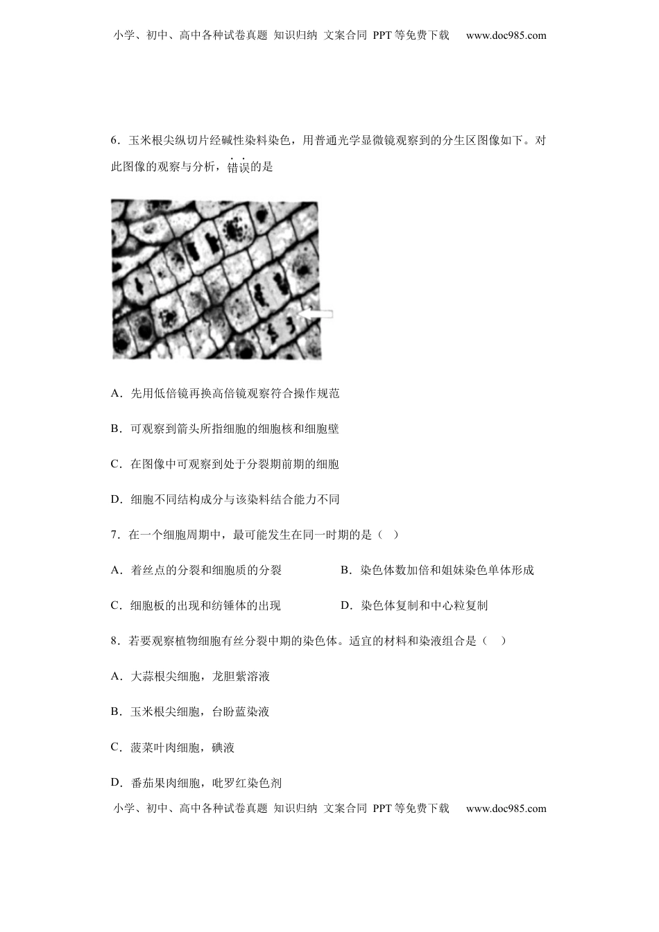 6.1 细胞的增殖 练习【新教材】人教版（2019）高中生物必修一.docx