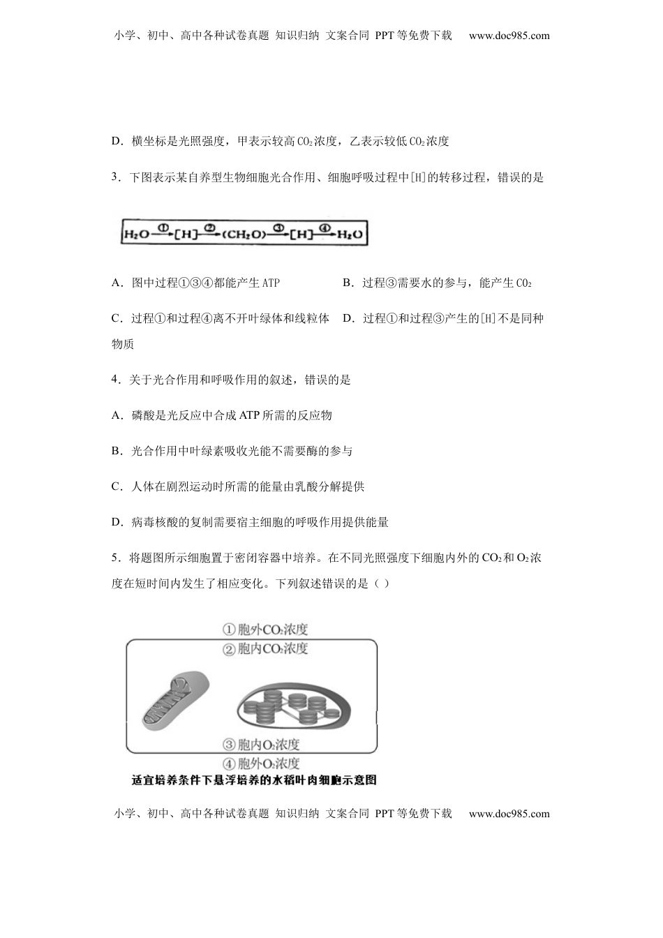 5.4.2 光合作用与能量转换 练习【新教材】人教版（2019）高中生物必修一.docx