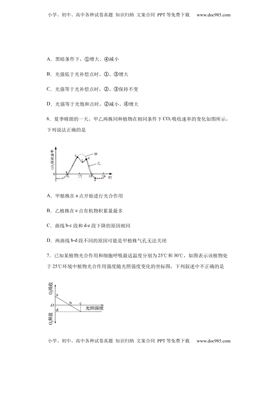 5.4.2 光合作用与能量转换 练习【新教材】人教版（2019）高中生物必修一.docx