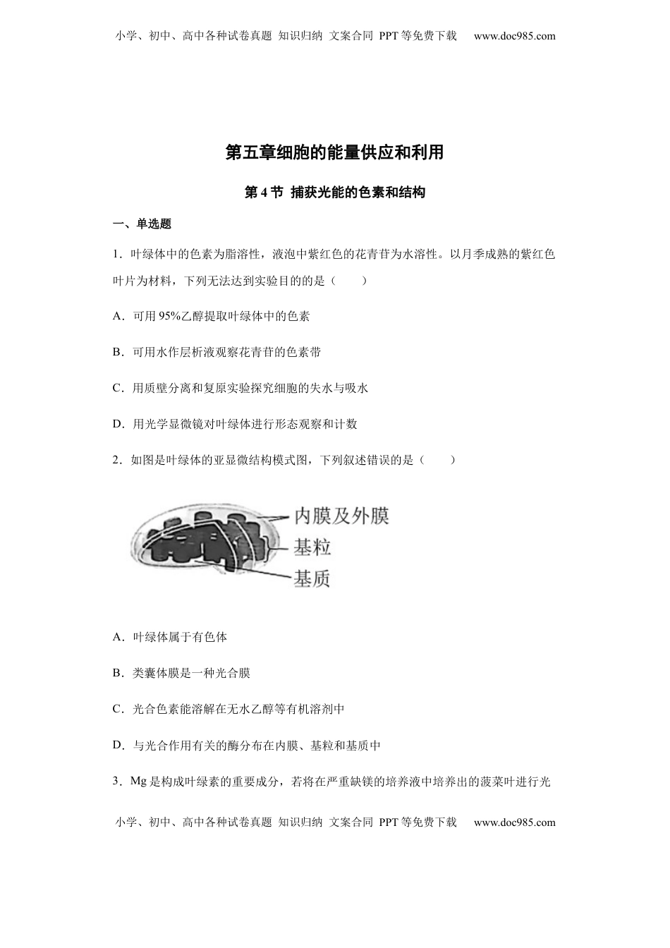 5.4.1 捕获光能的色素和结构 练习 【新教材】人教版（2019）高中生物必修一.docx