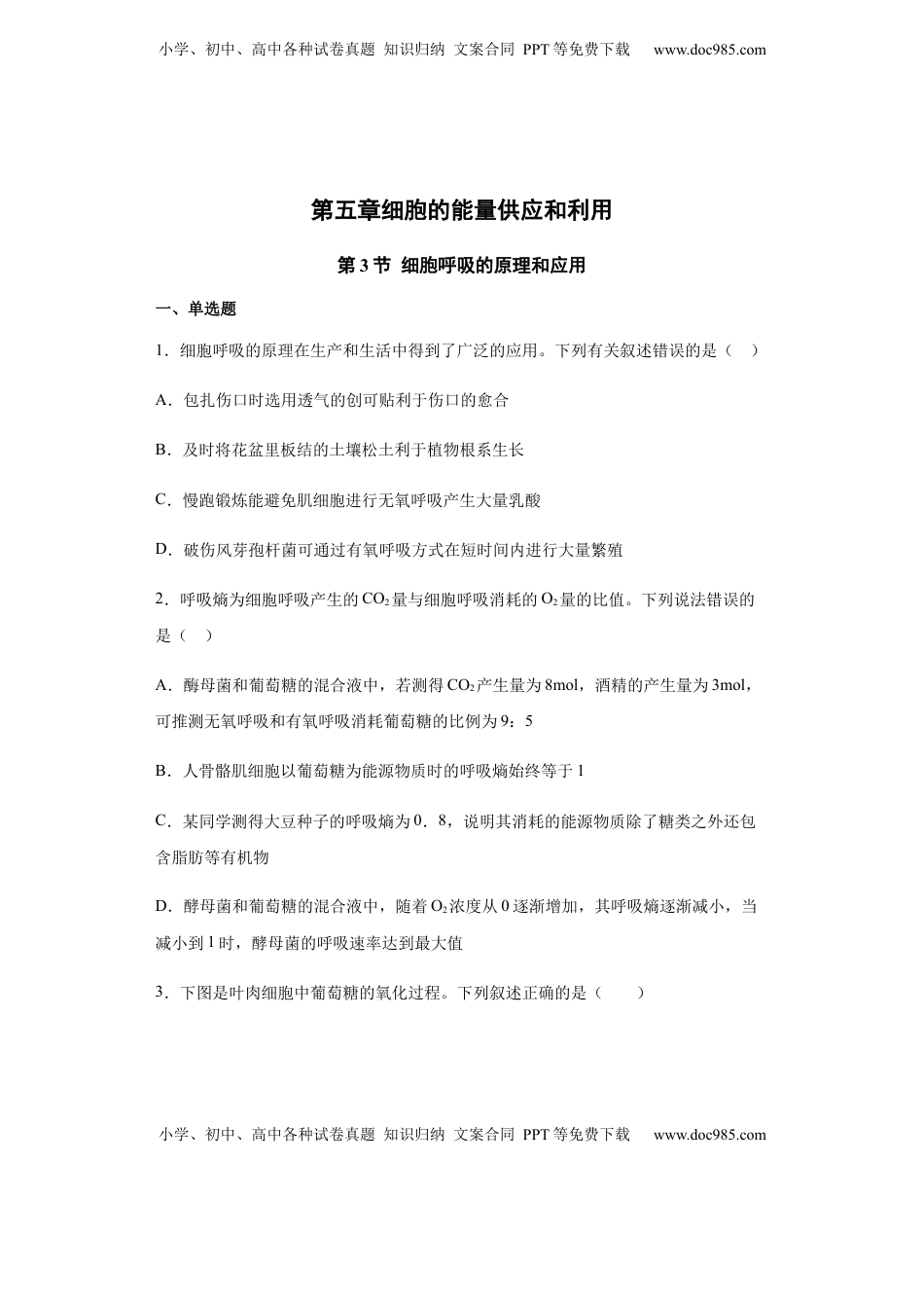 5.3 细胞呼吸的原理和应用 练习【新教材】人教版（2019）高中生物必修一.docx