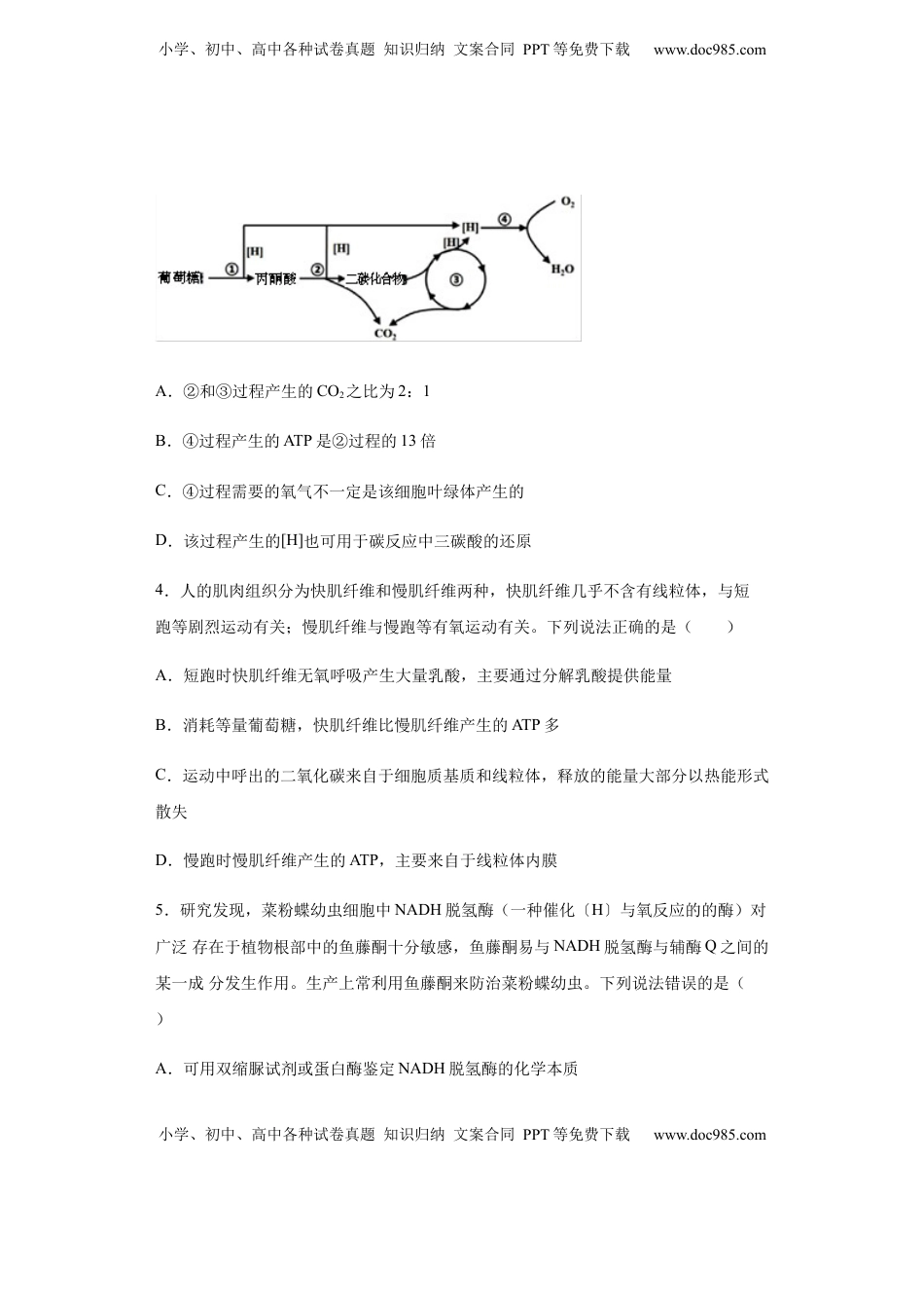 5.3 细胞呼吸的原理和应用 练习【新教材】人教版（2019）高中生物必修一.docx